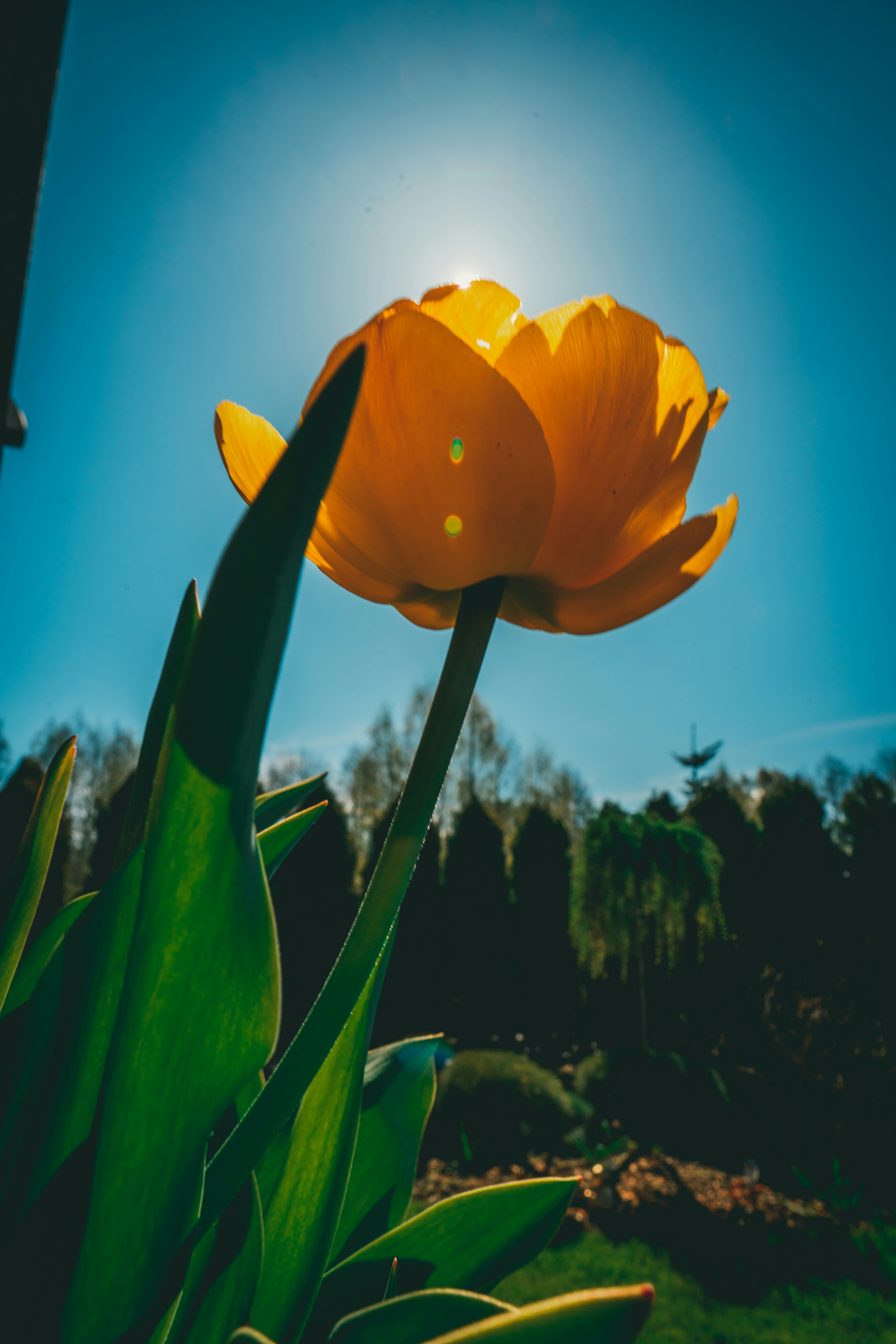Photo by raimondklavins