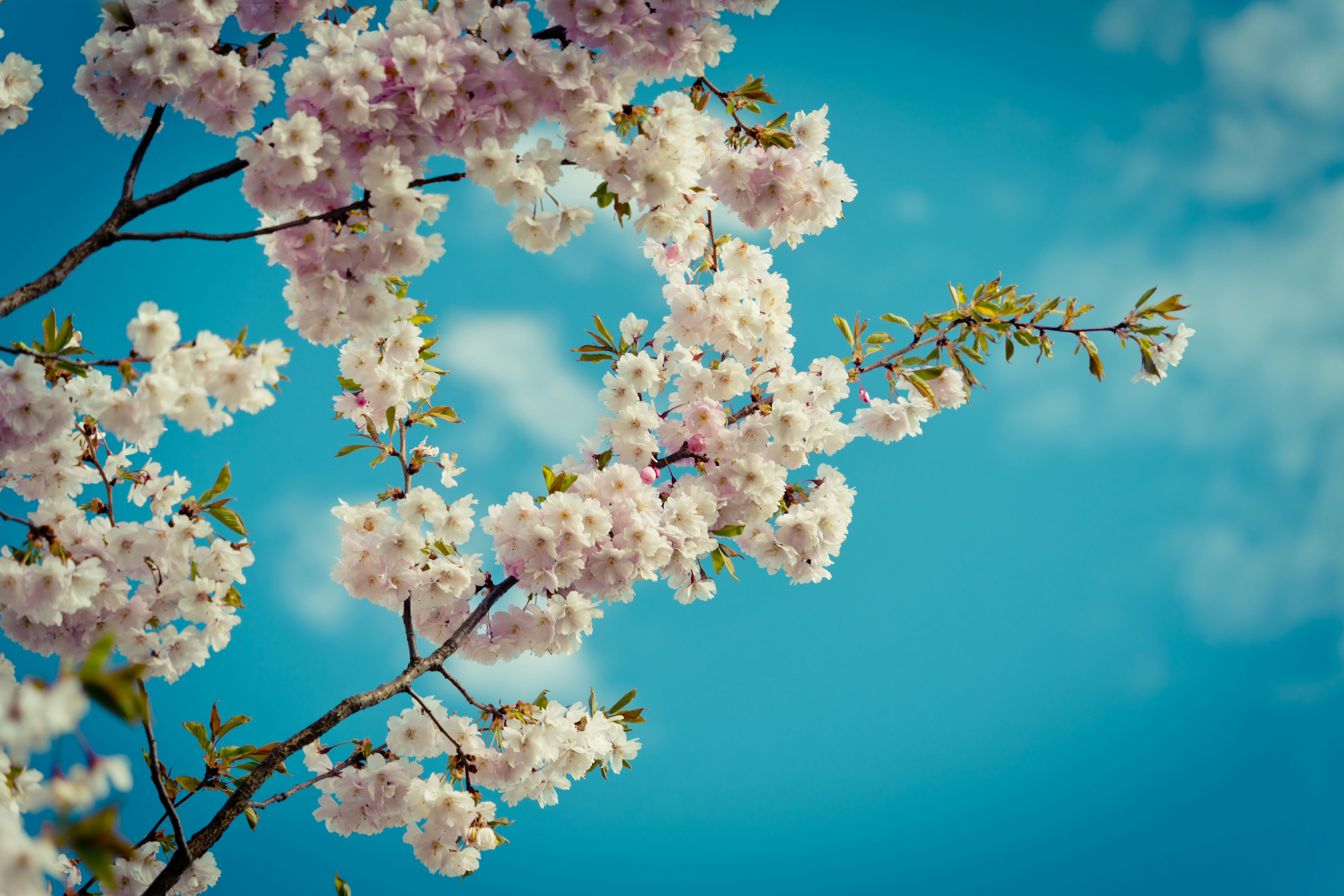 Photo by raimondklavins