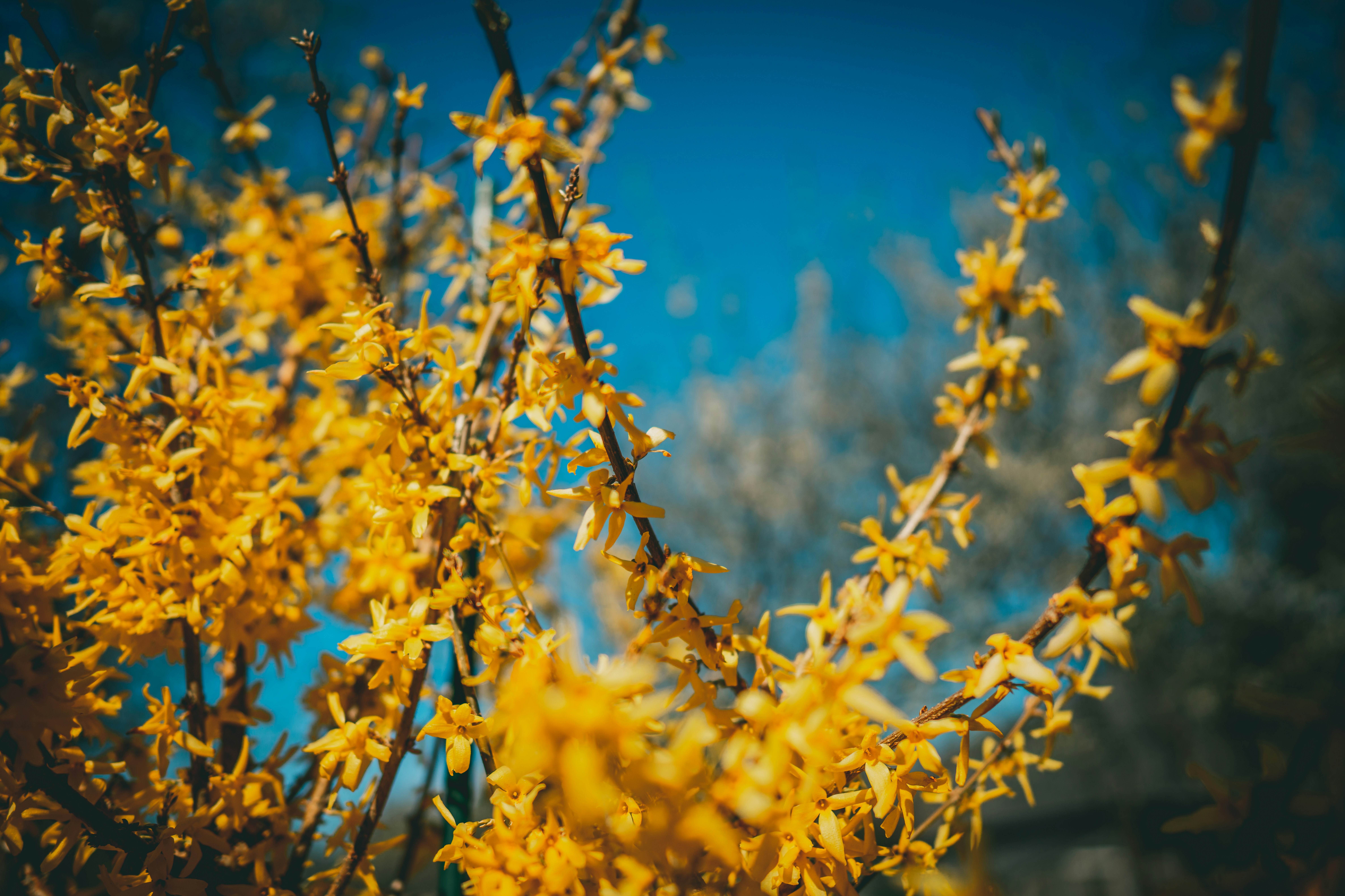 Photo by raimondklavins