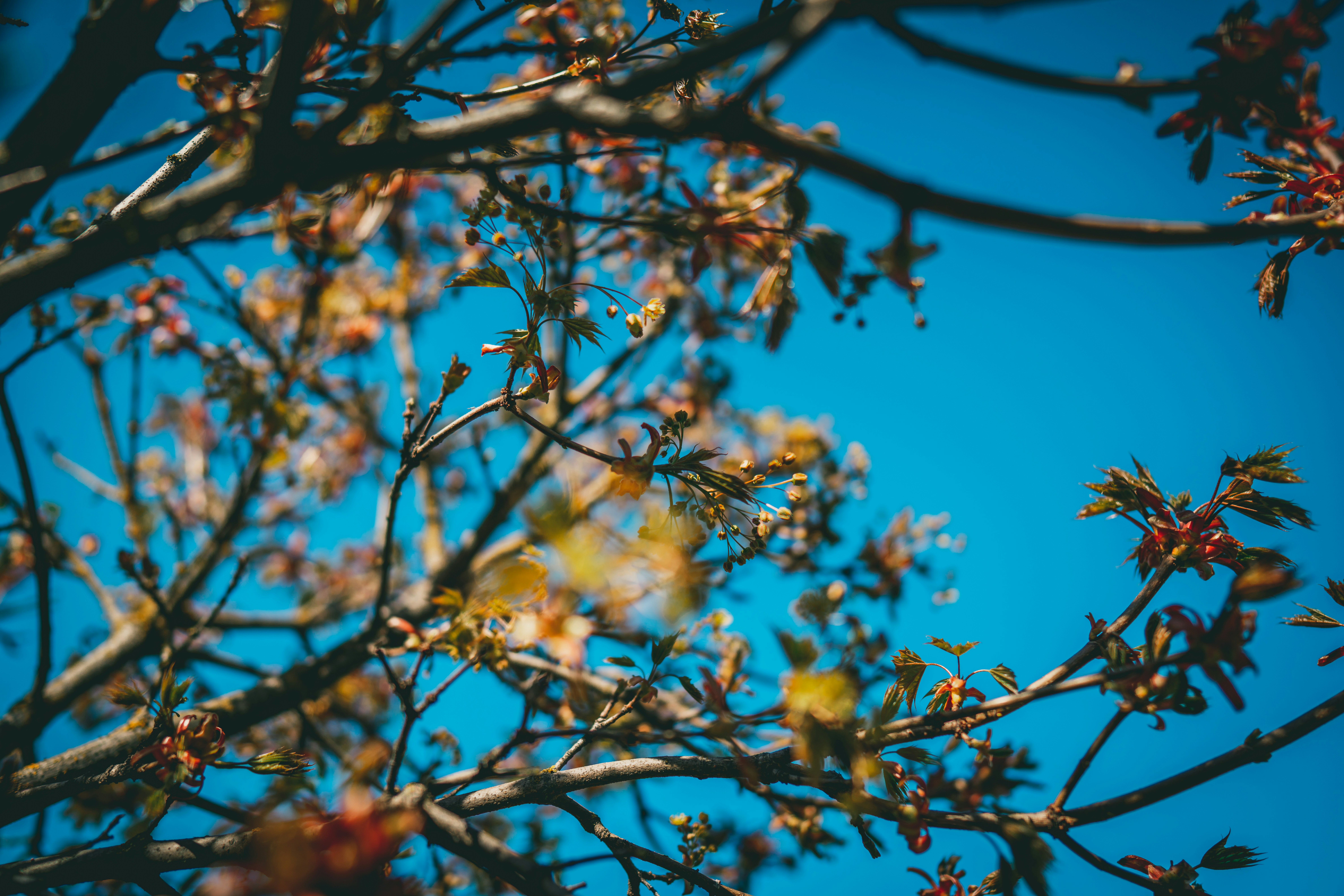 Photo by raimondklavins