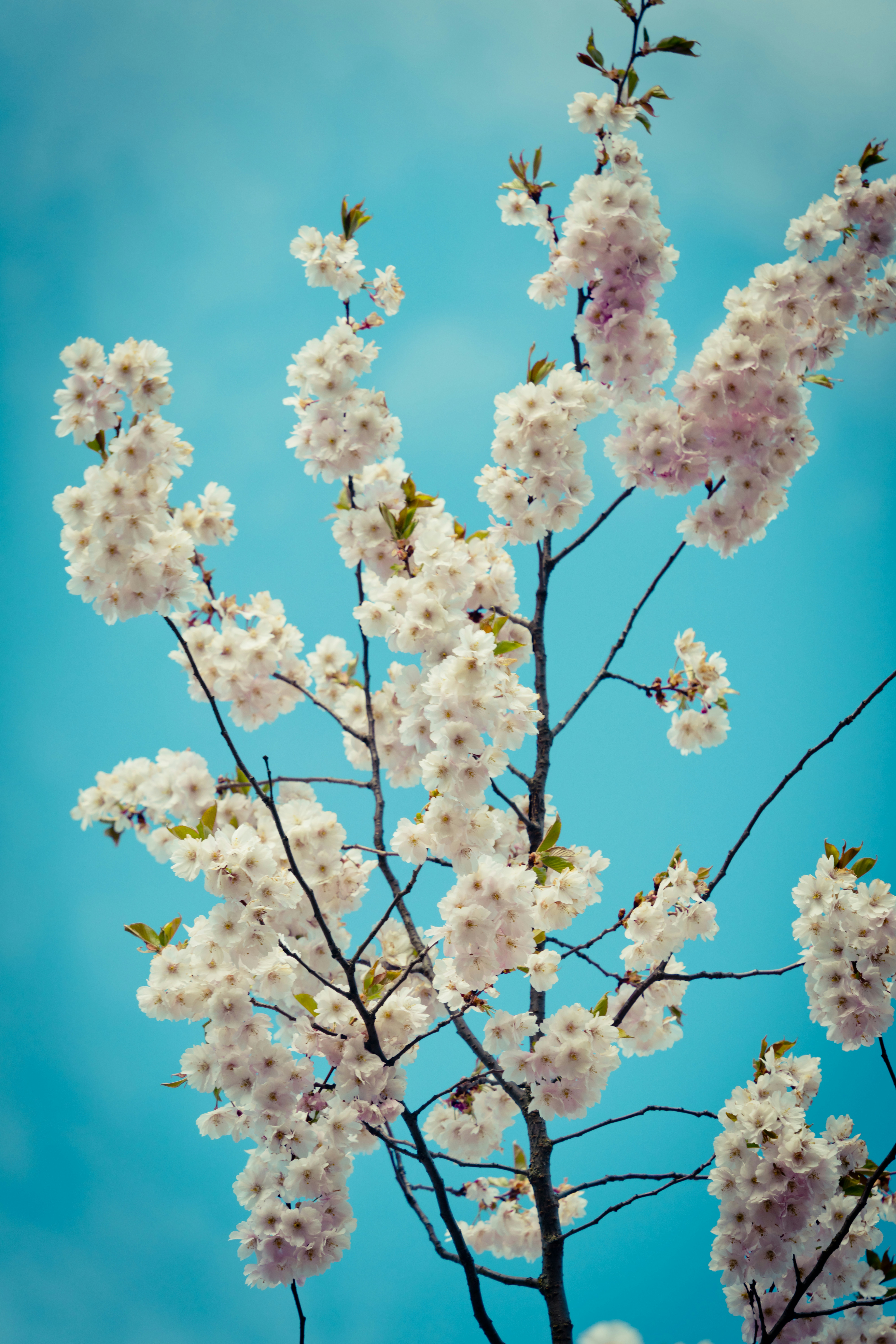 Photo by raimondklavins