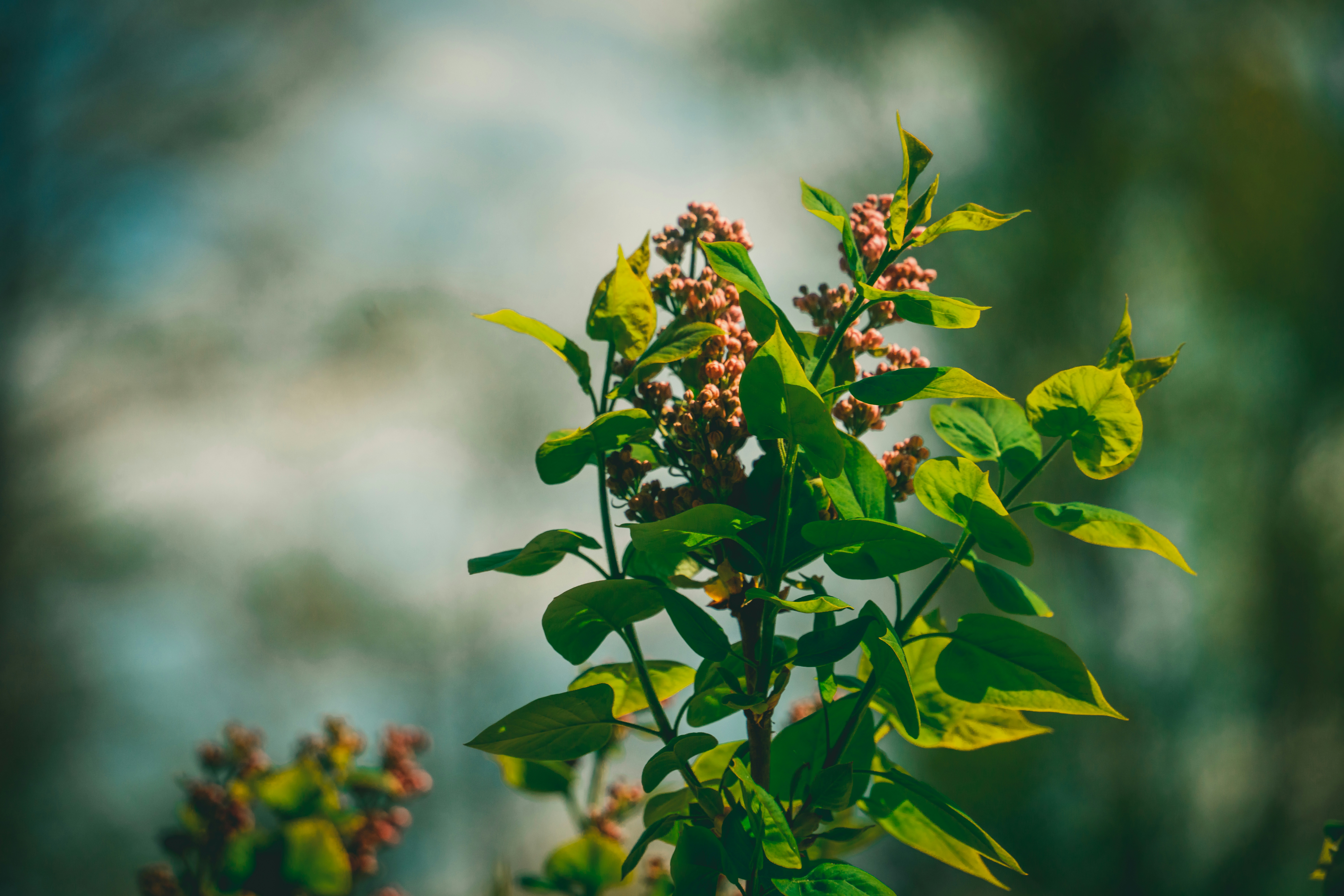 Photo by raimondklavins