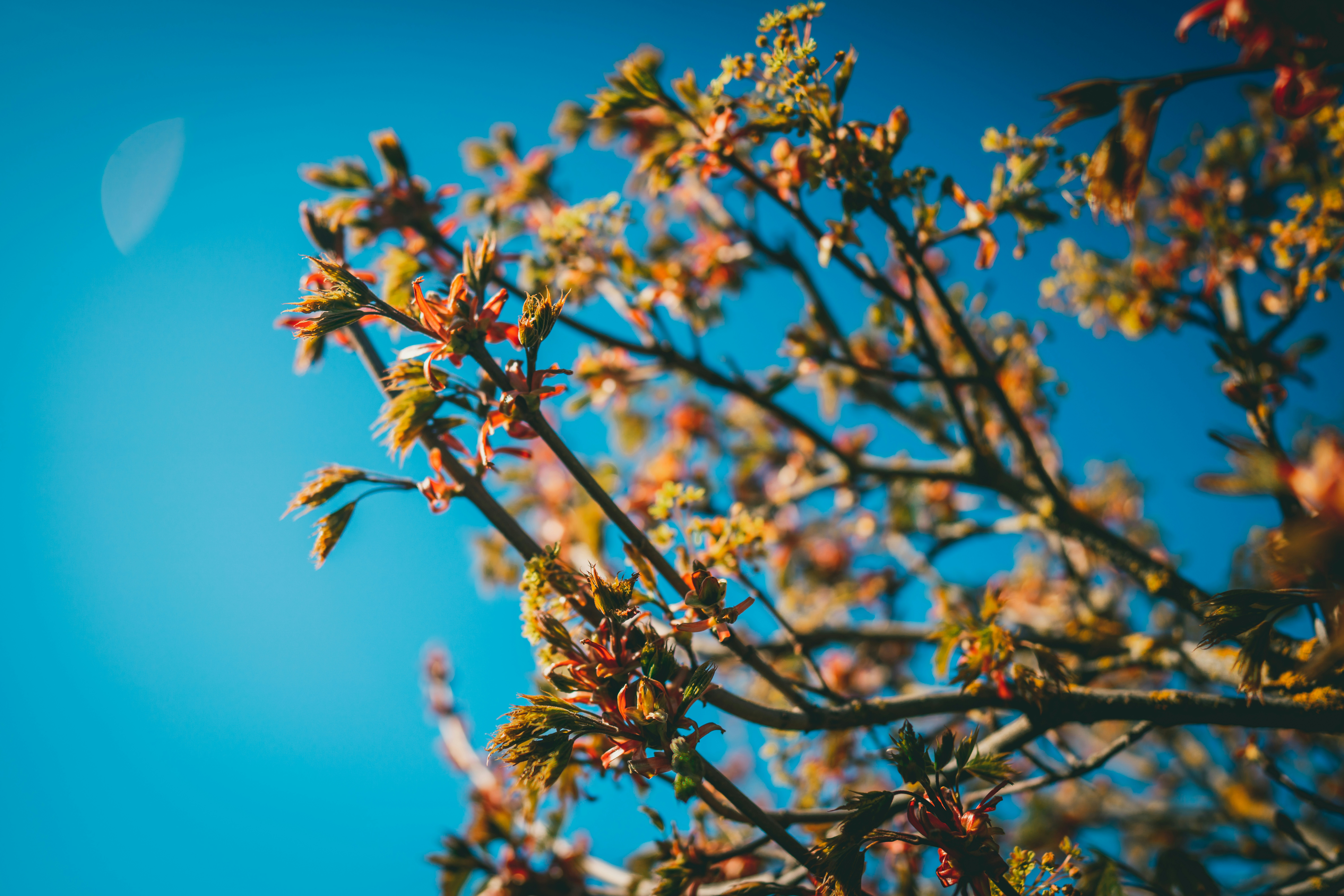 Photo by raimondklavins