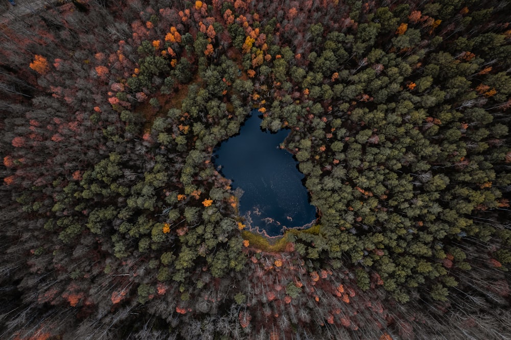 an aerial view of a lake surrounded by trees