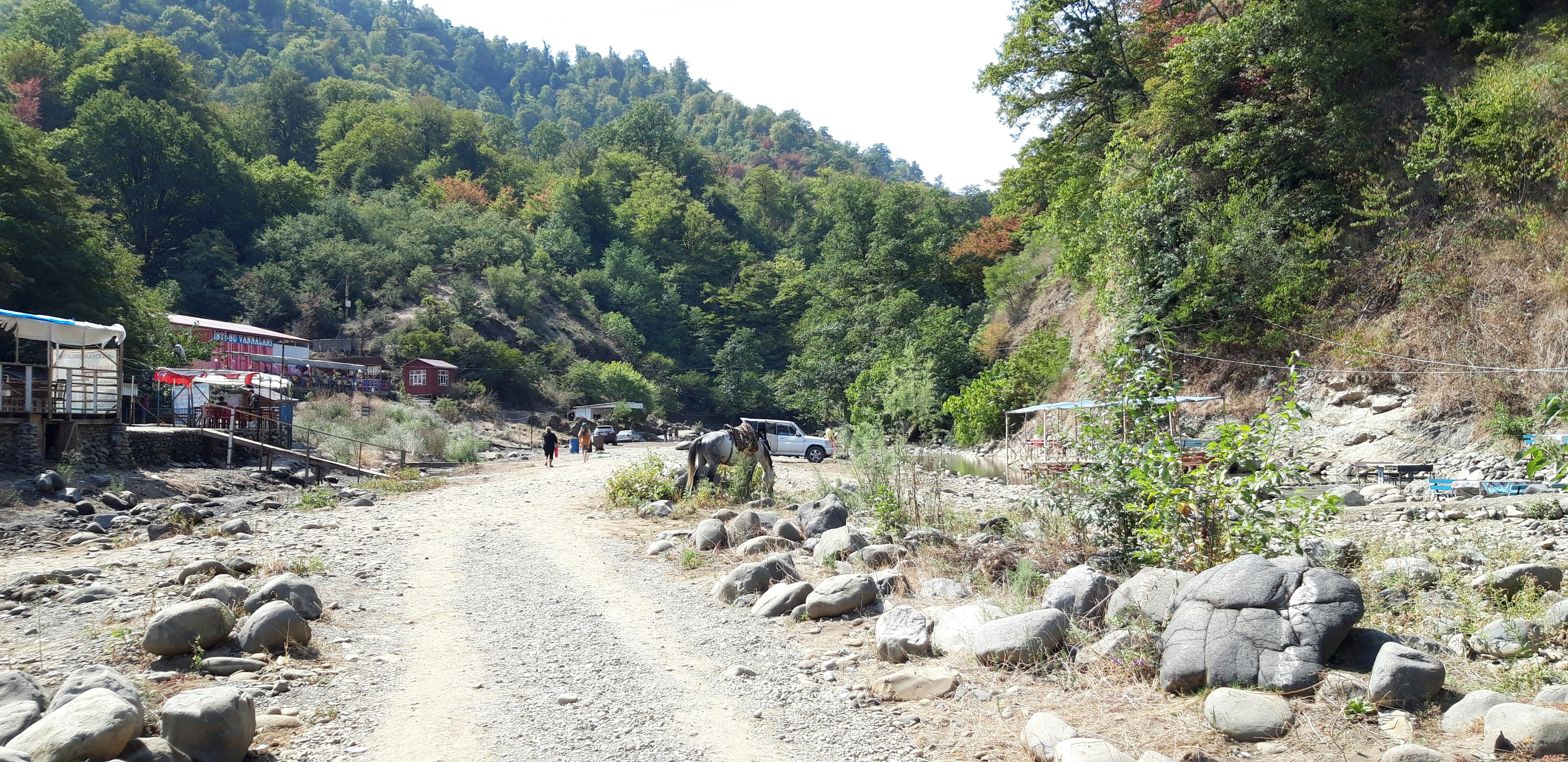 a dirt road surrounded by rocks and trees