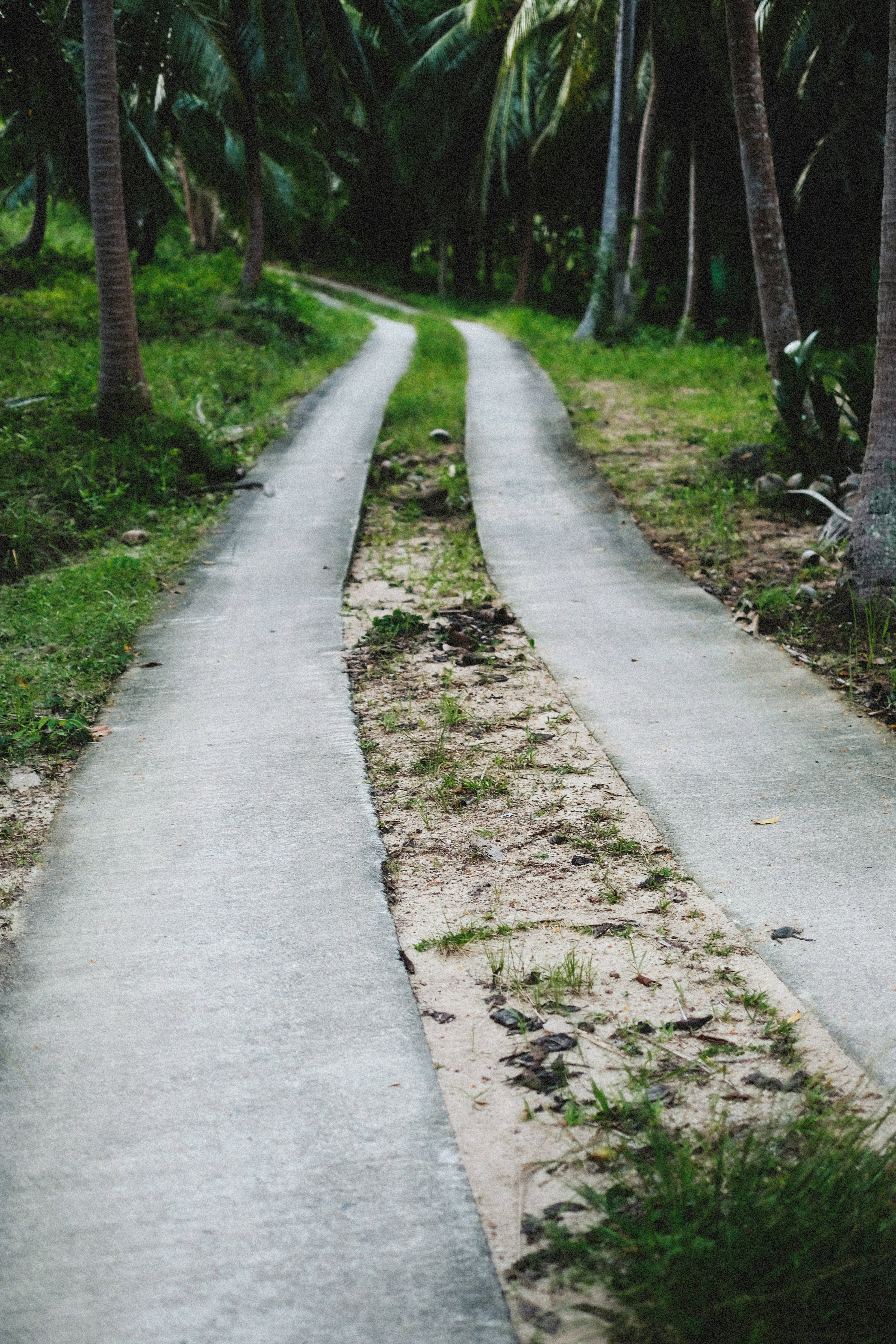 Photo by alexeydemidov