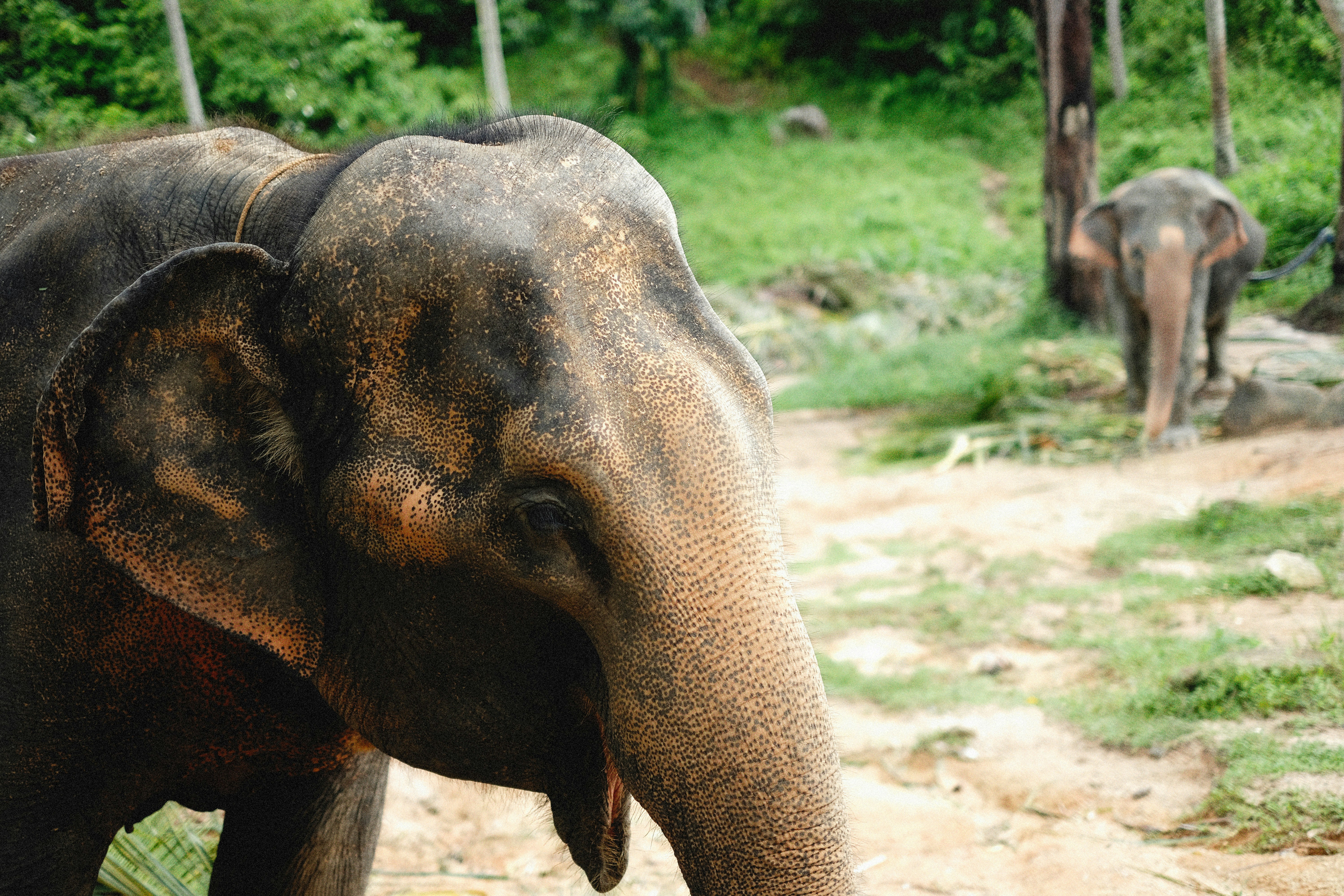 Photo by alexeydemidov