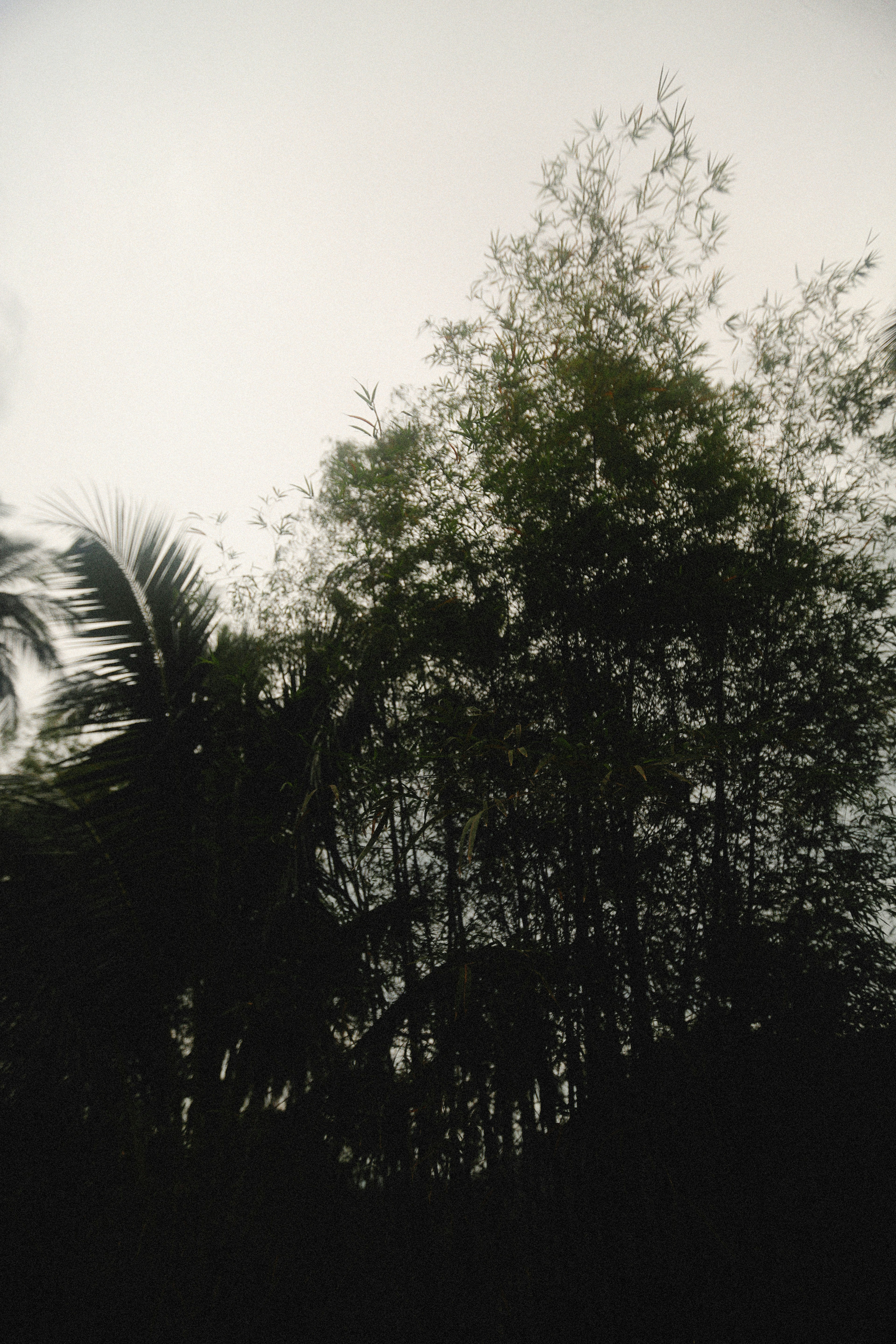 Photo by alexeydemidov