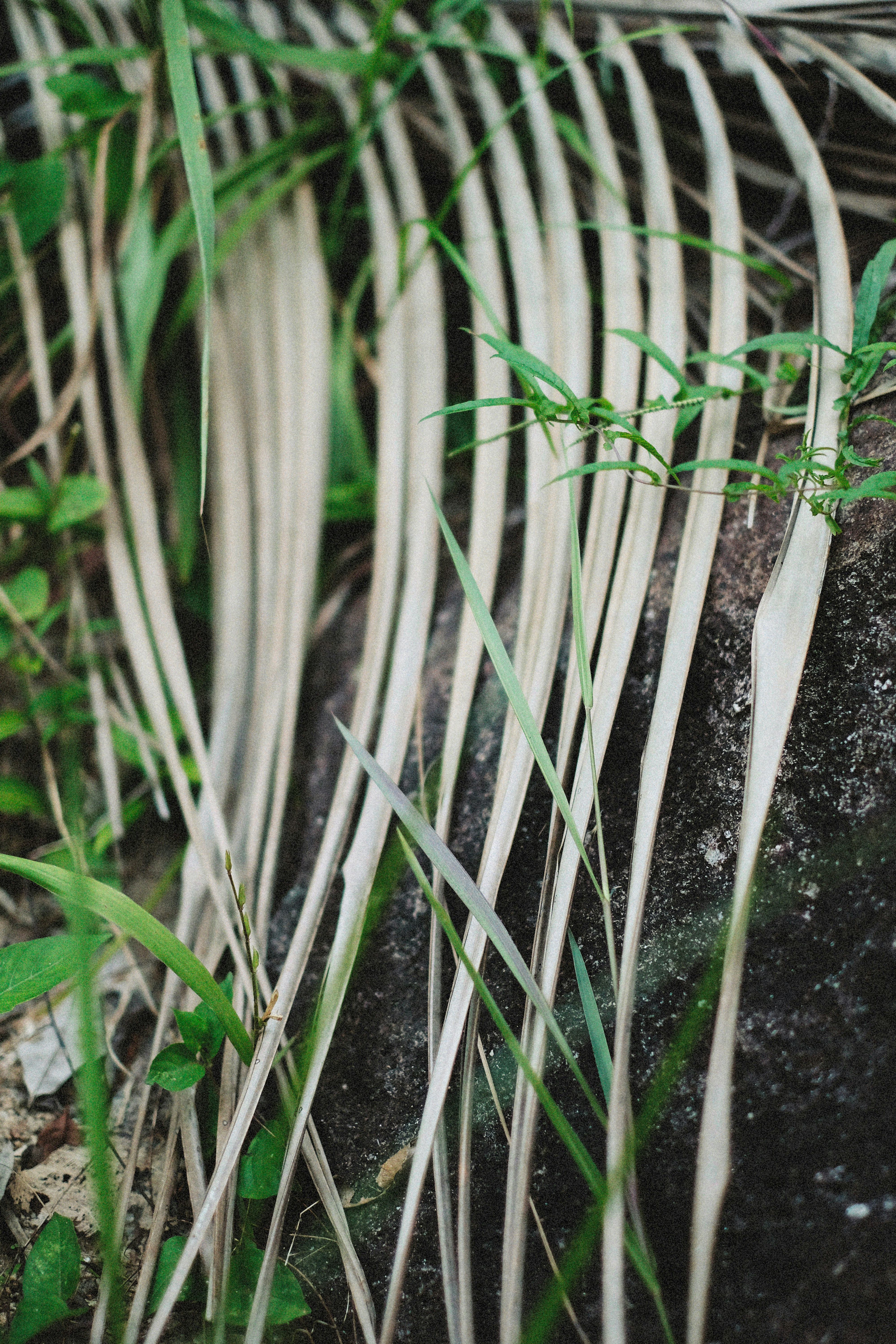 Photo by alexeydemidov