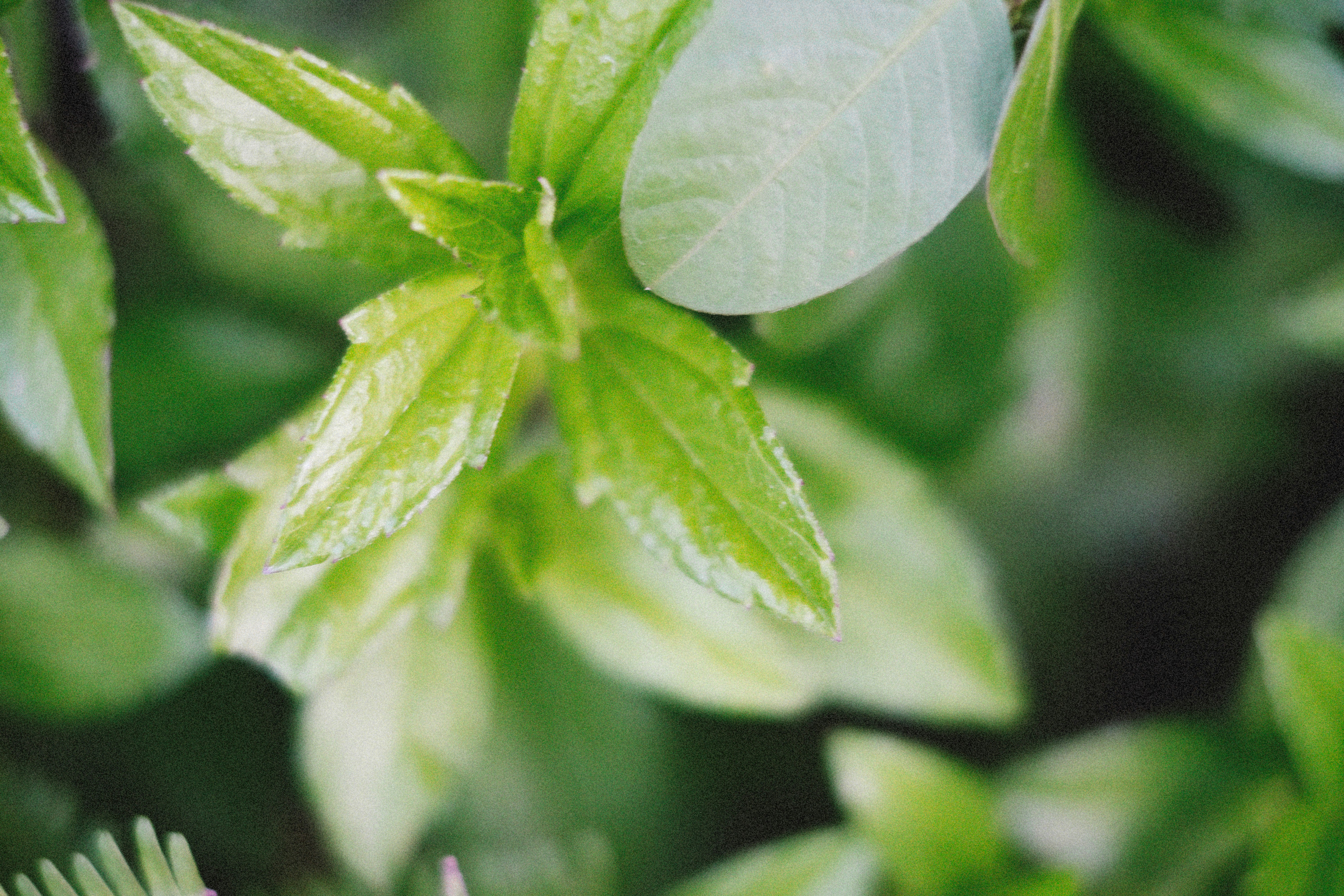 Photo by alexeydemidov