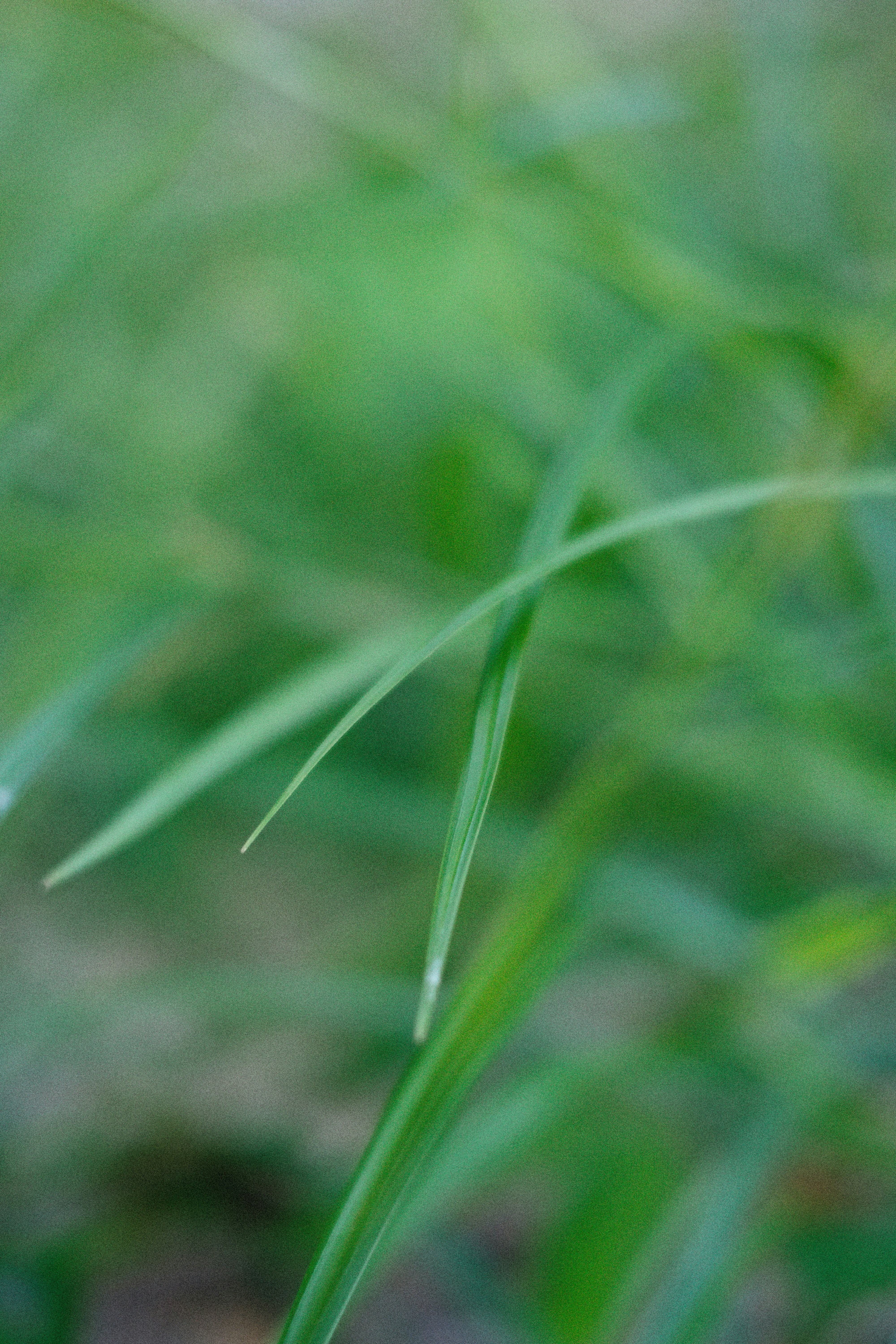 Photo by alexeydemidov