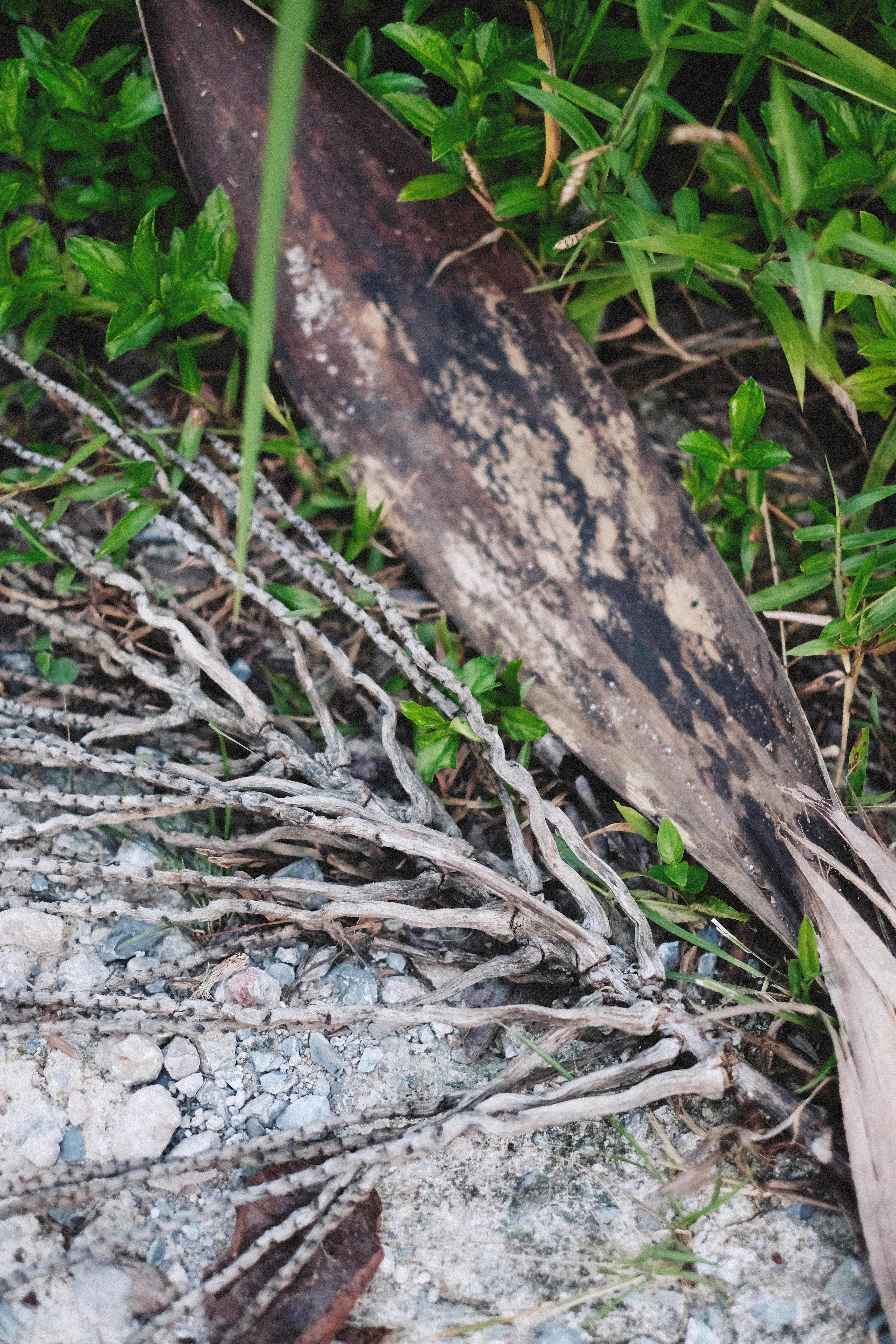 Photo by alexeydemidov