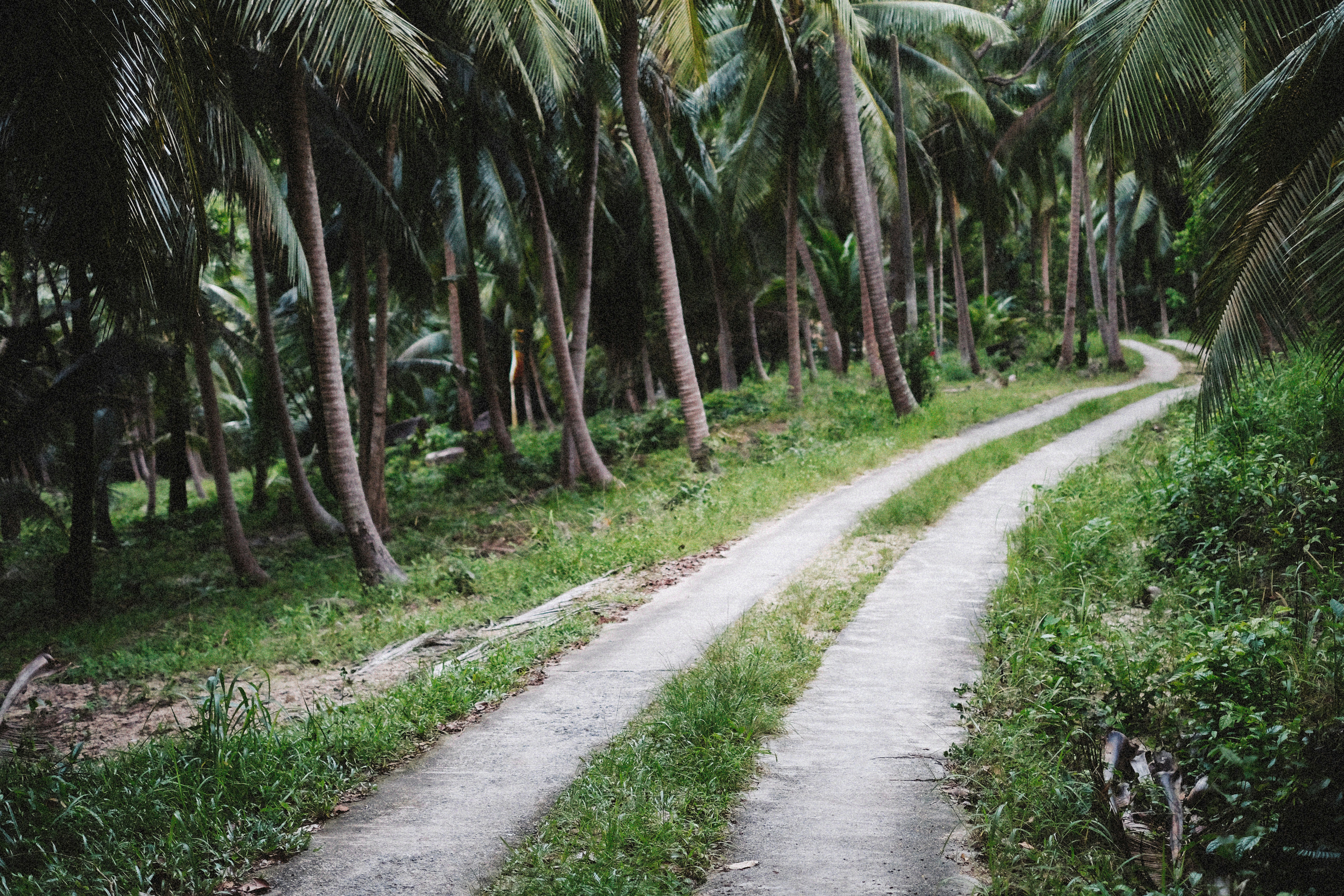 Photo by alexeydemidov