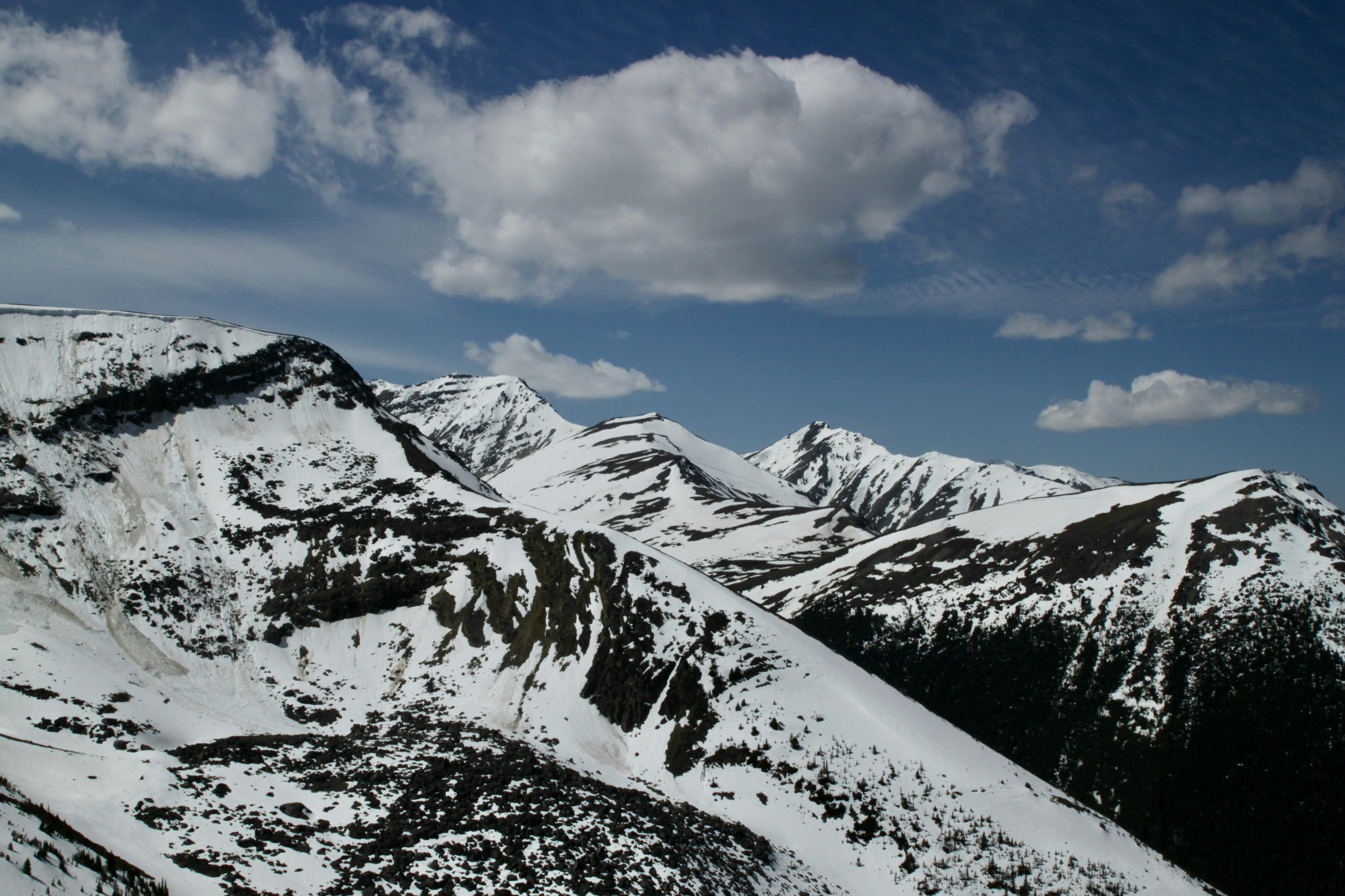 Photo by packetdiscards