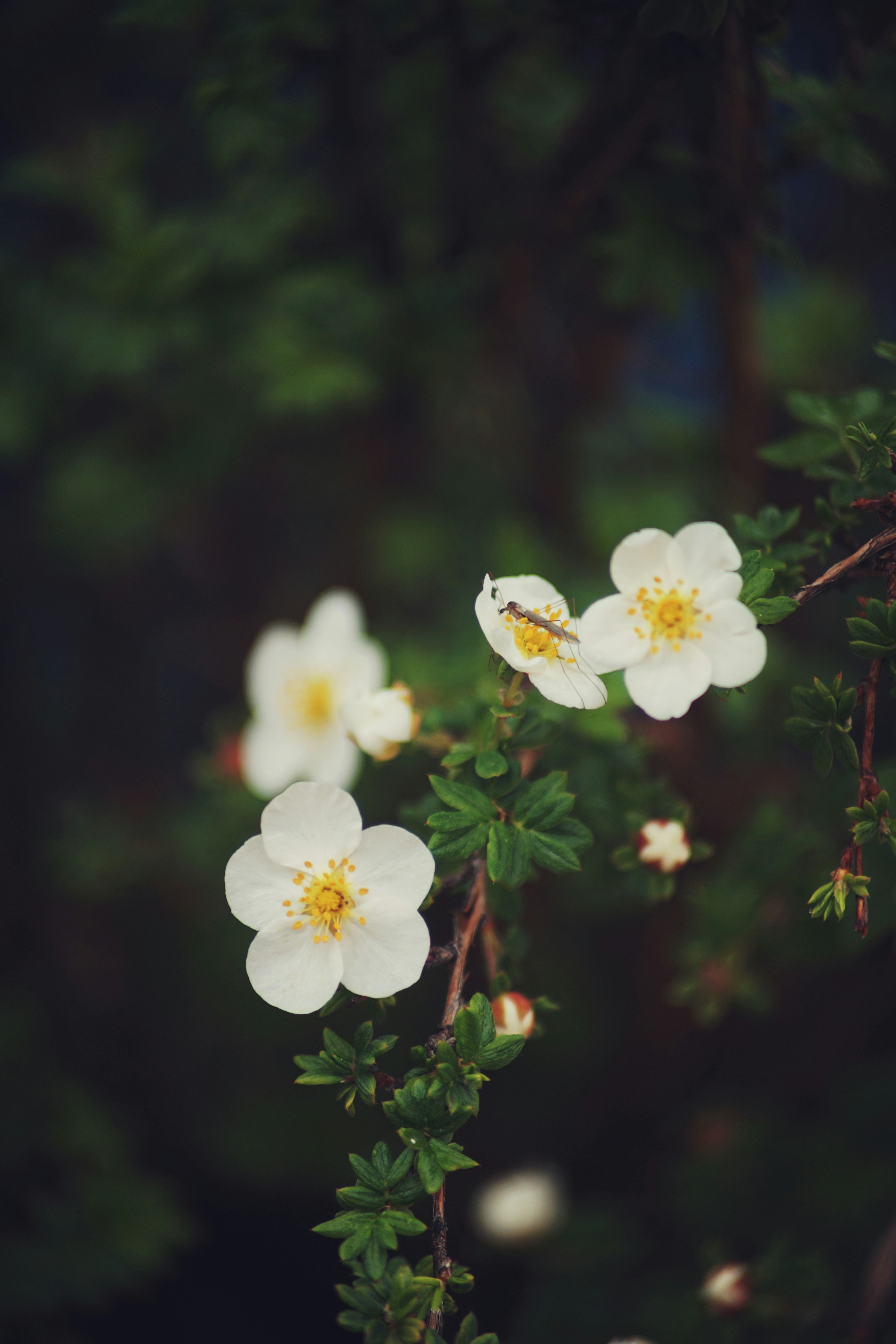 Photo by judahwester