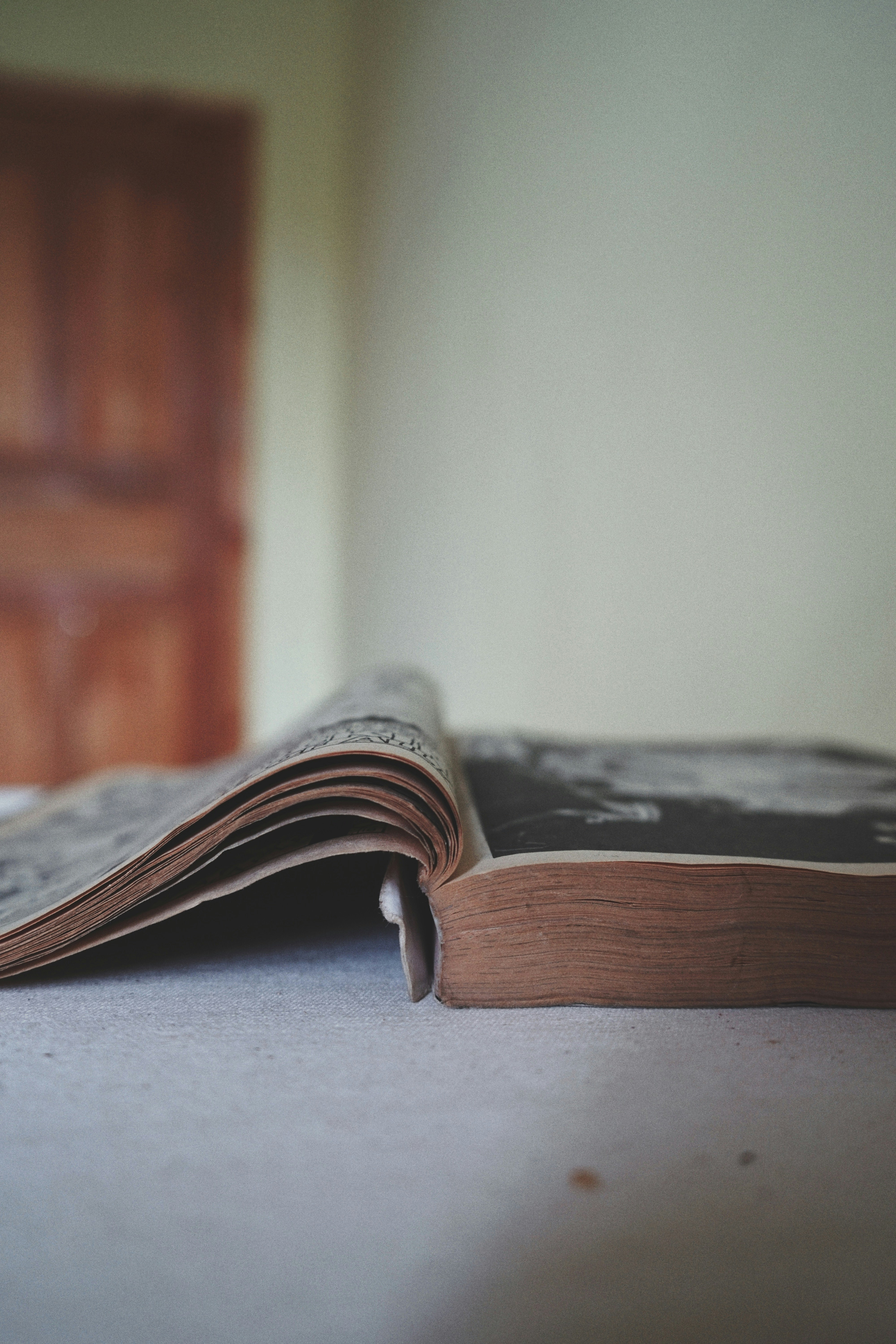 Photo by judahwester