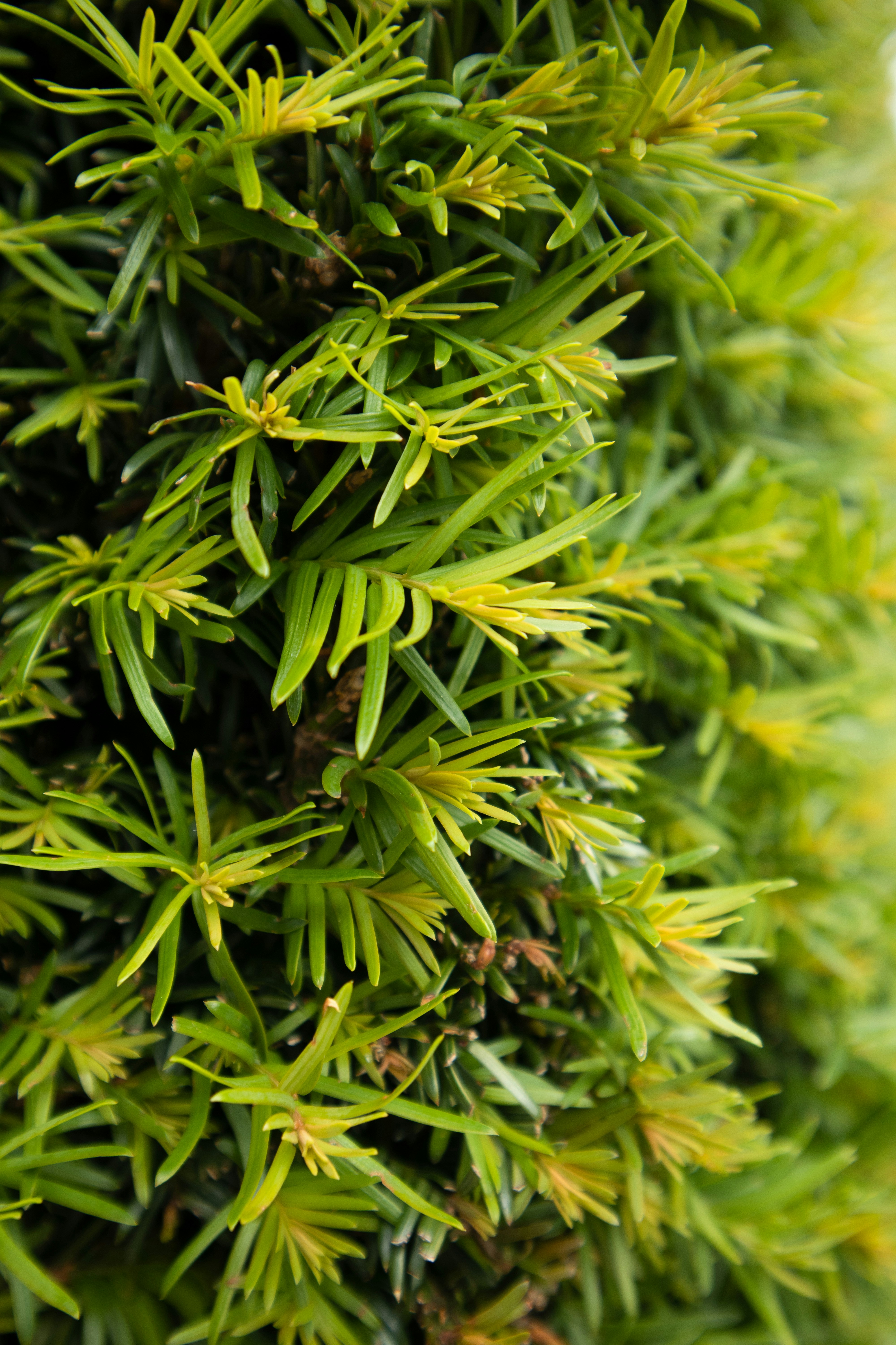 Photo by kccreations