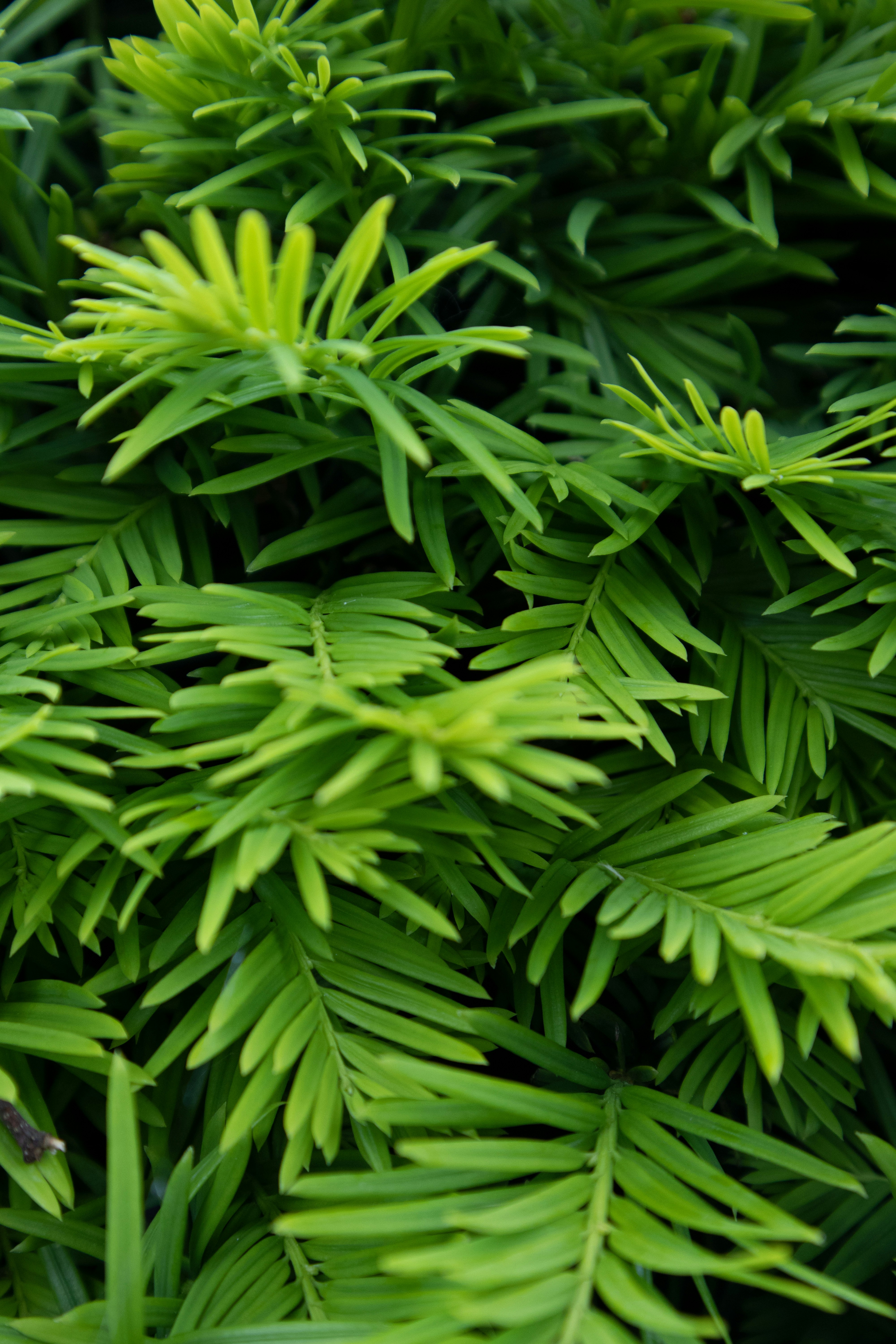 Photo by kccreations