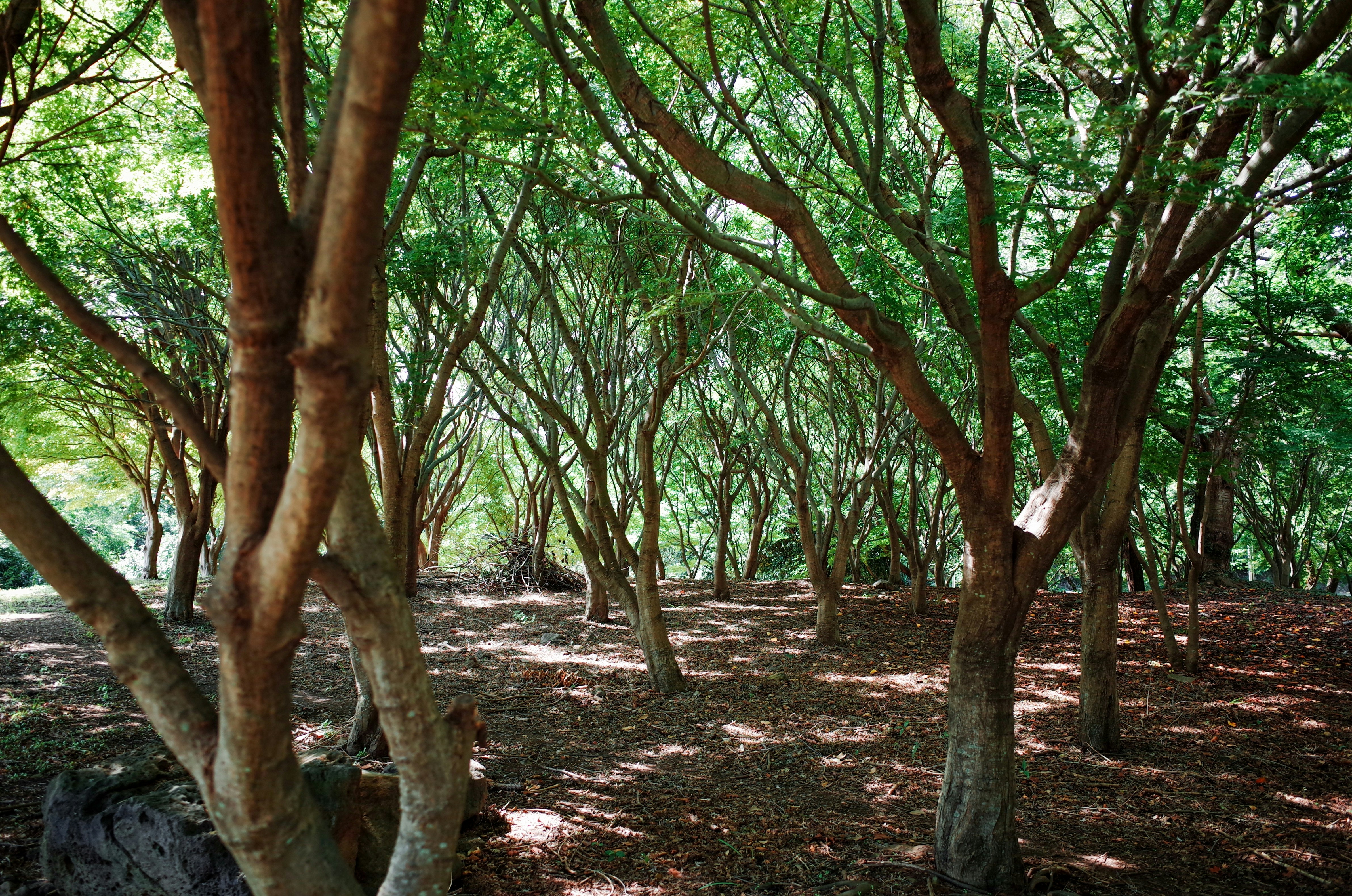 Photo by soflightsto