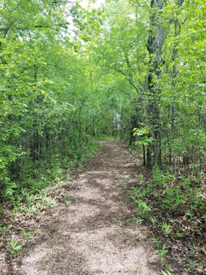 Lush greenery and winding paths along the Padre Nuestro Trail inviting exploration.