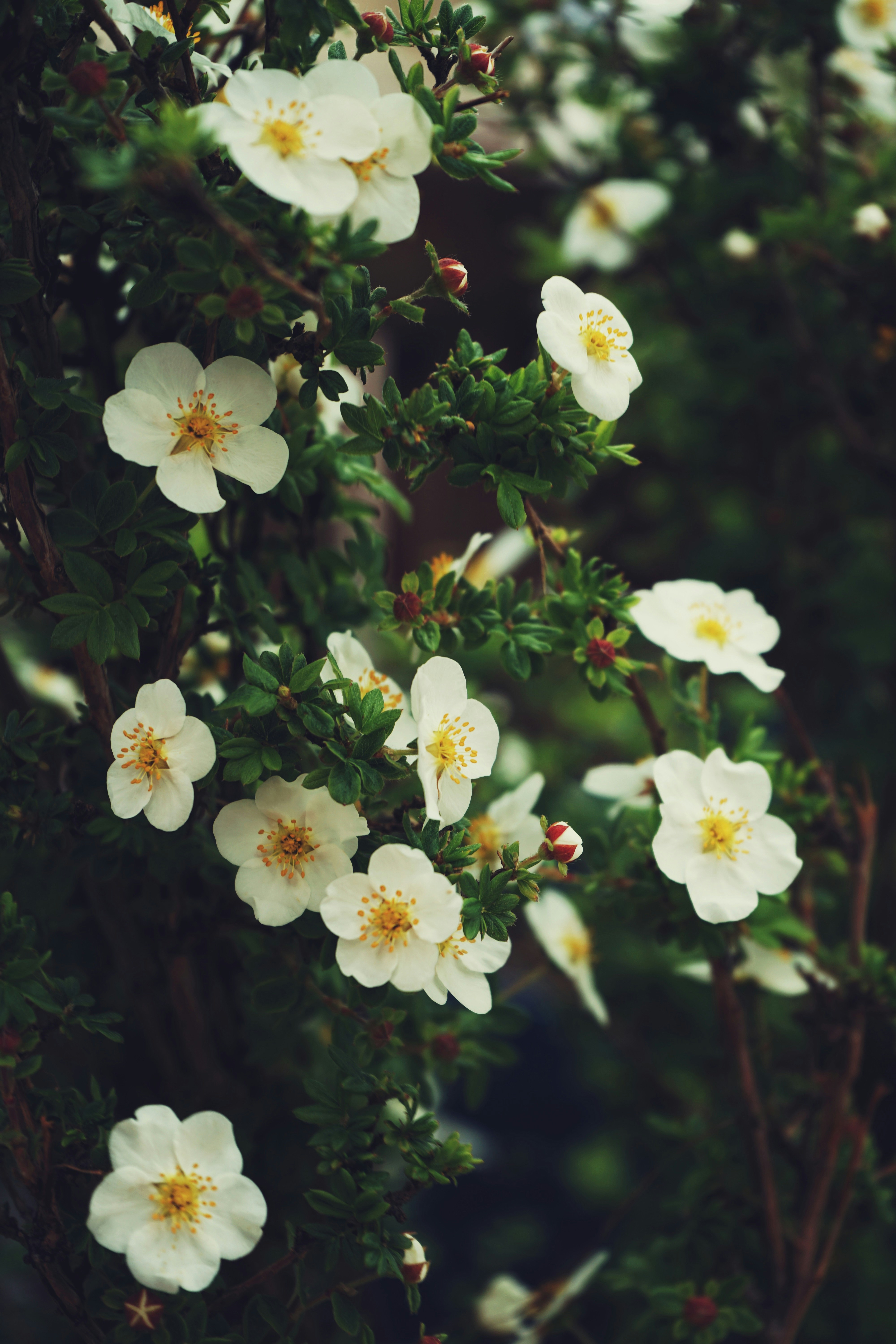 Photo by judahwester