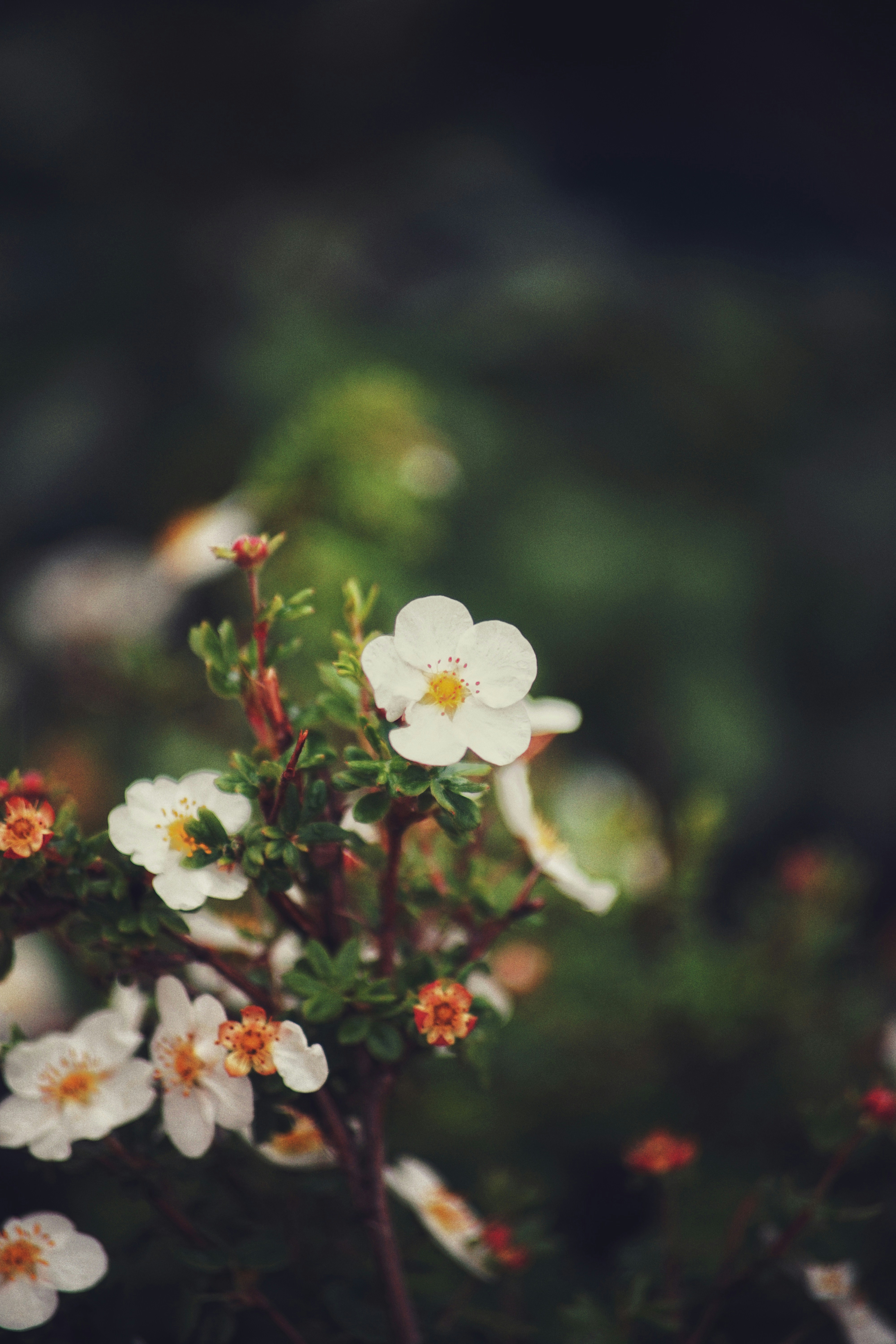 Photo by judahwester