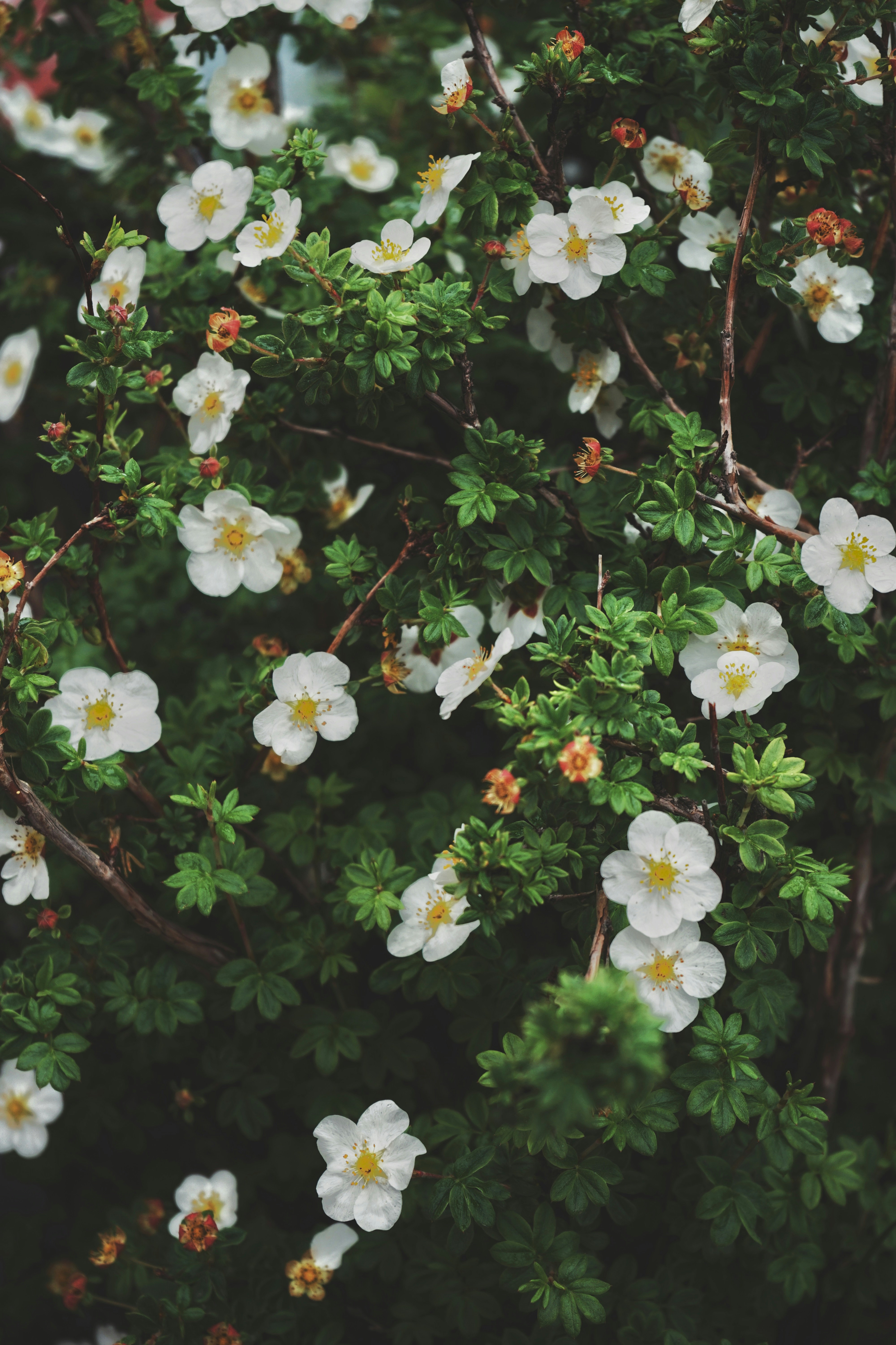 Photo by judahwester