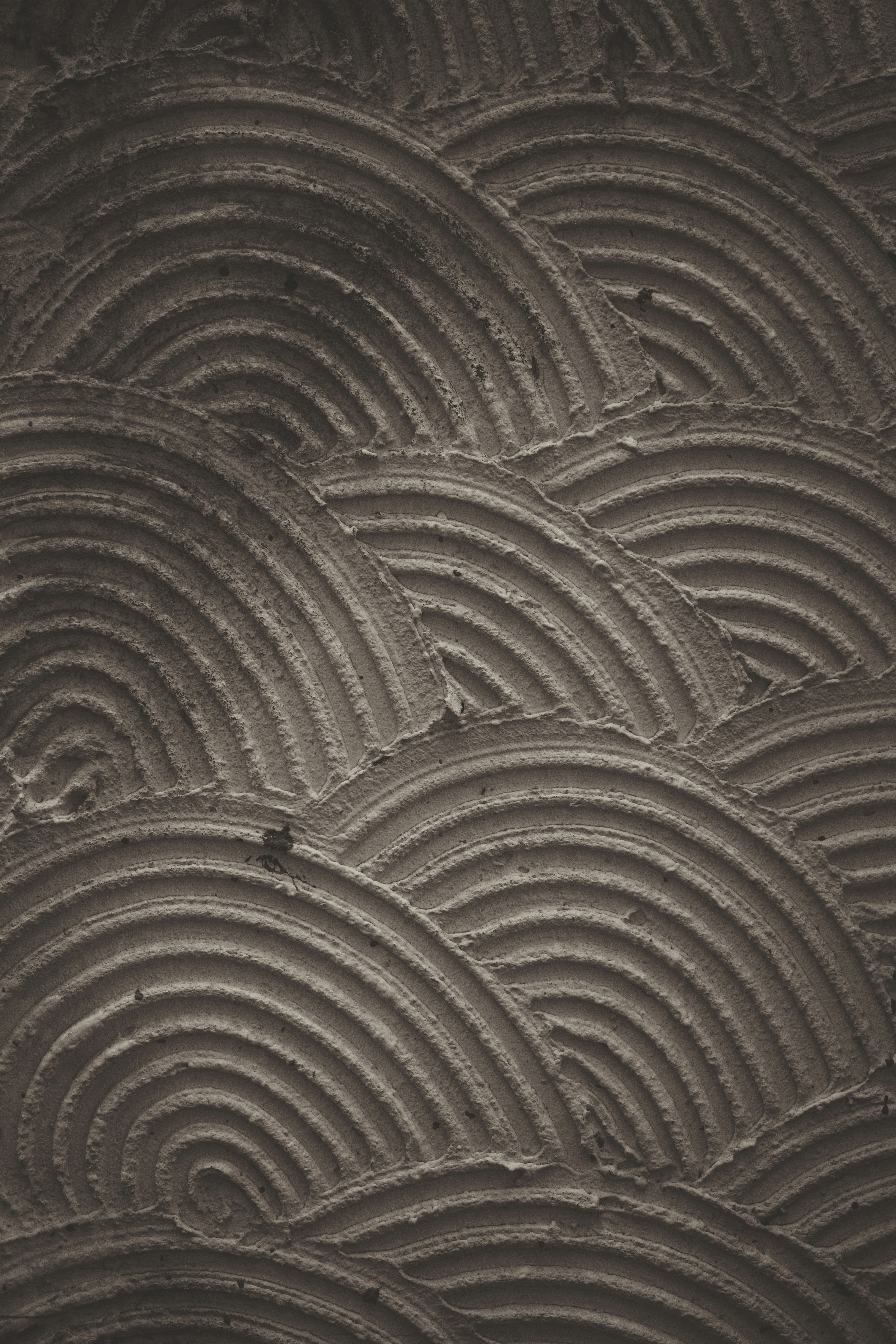 Photo by judahwester