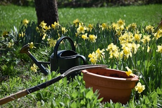 a watering can sitting in the grass next to a flower pot