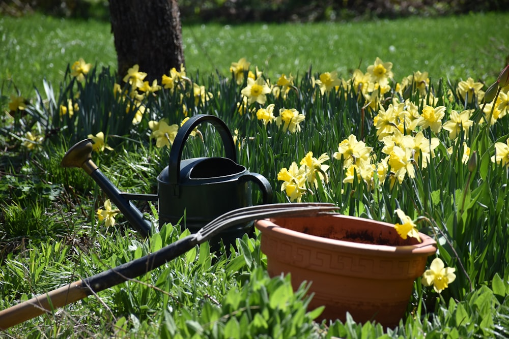 a watering can sitting in the grass next to a flower pot