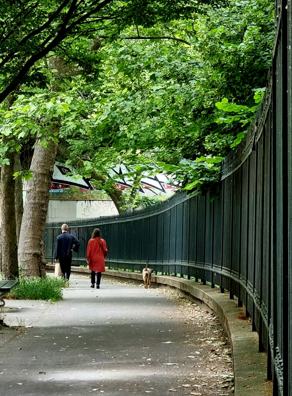 Un homme et une femme promenant un chien sur un chemin