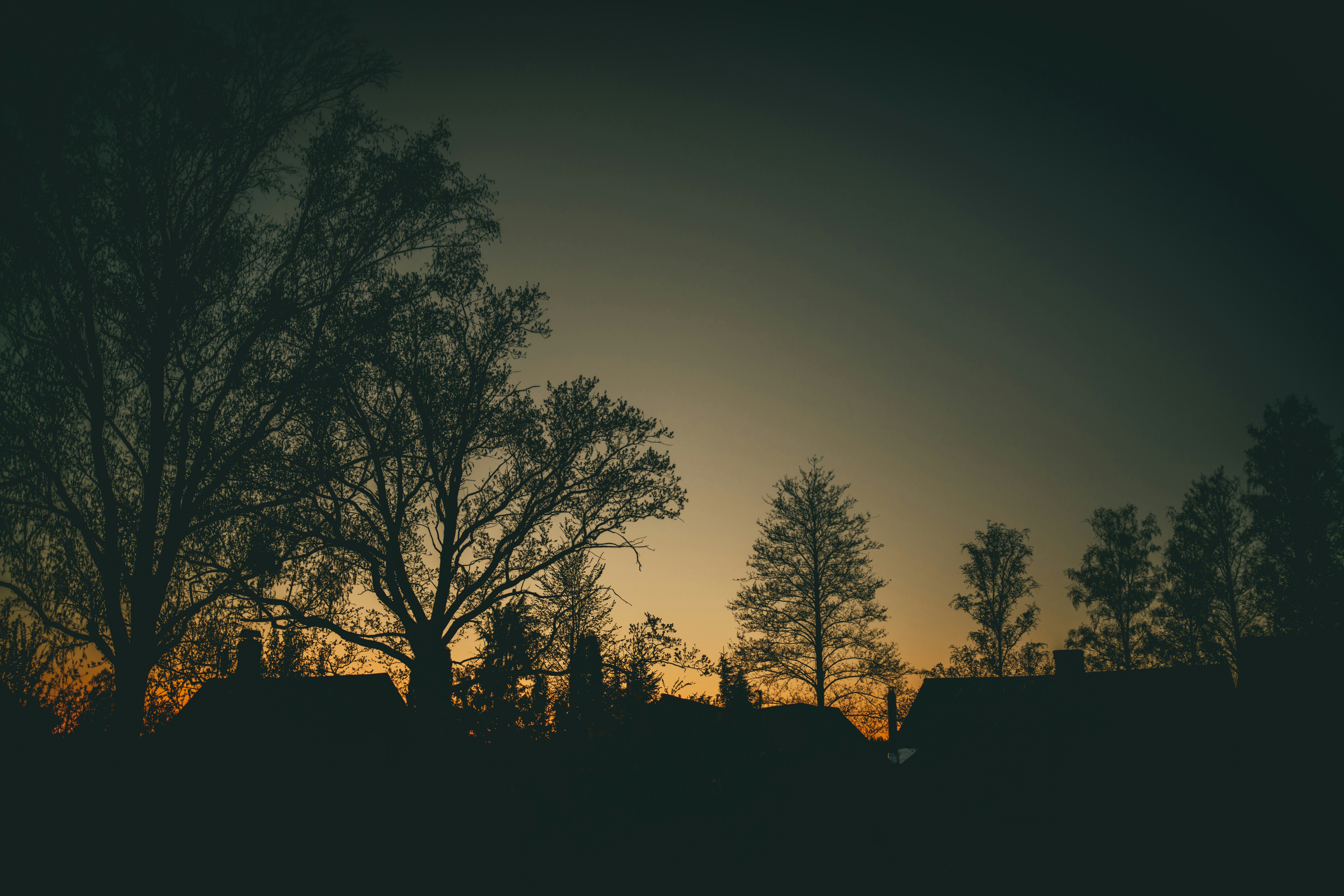 Photo by raimondklavins