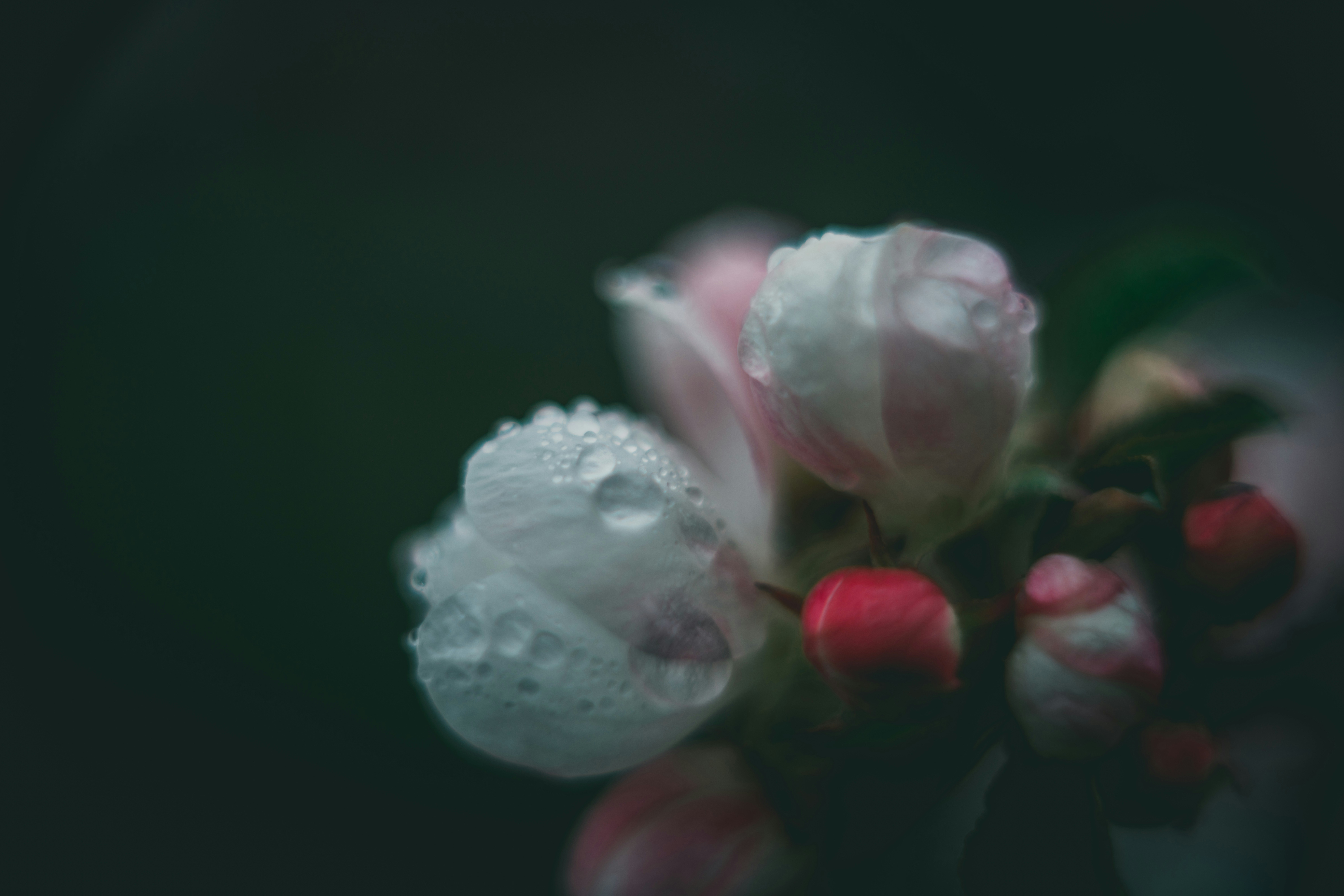 Photo by raimondklavins