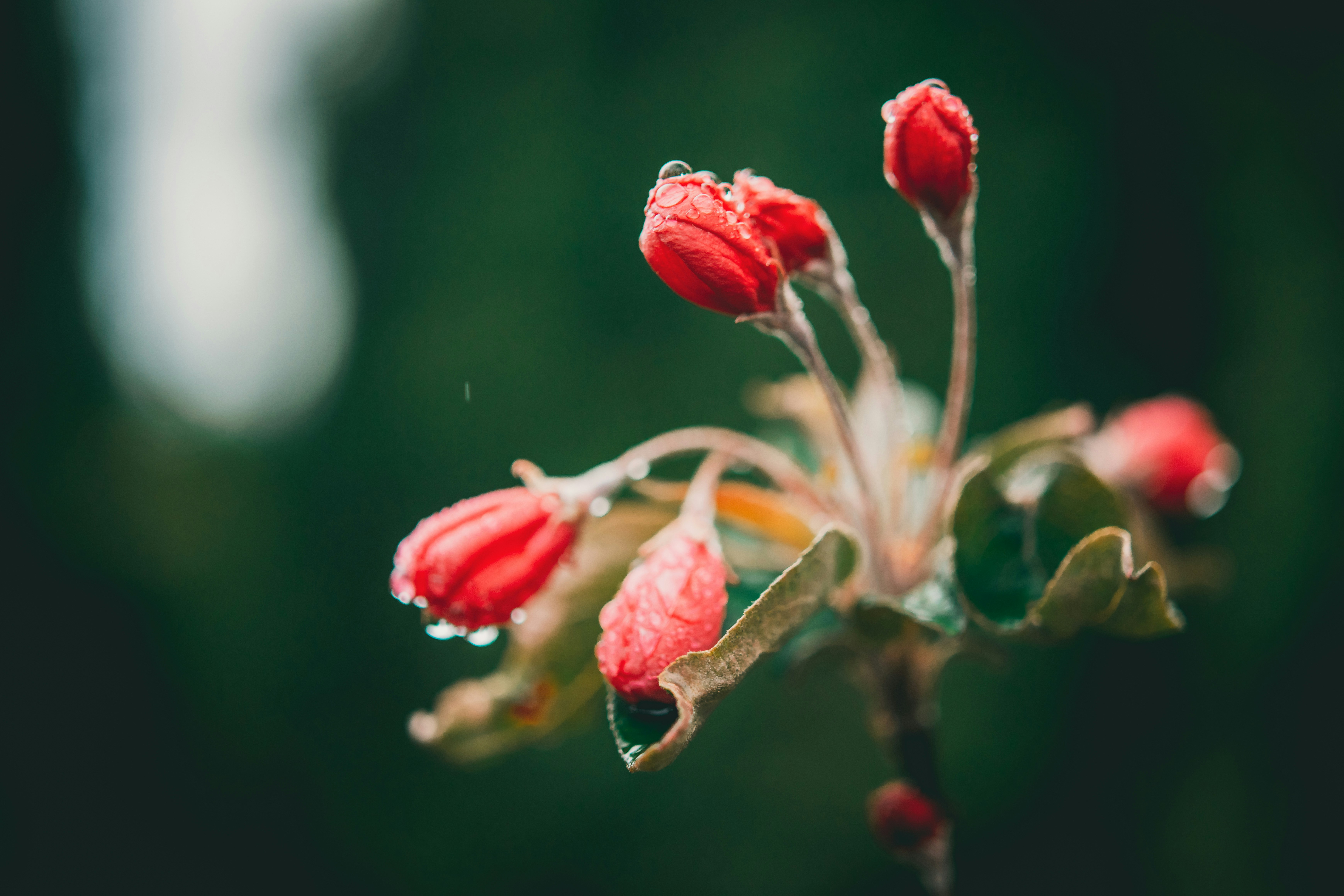 Photo by raimondklavins