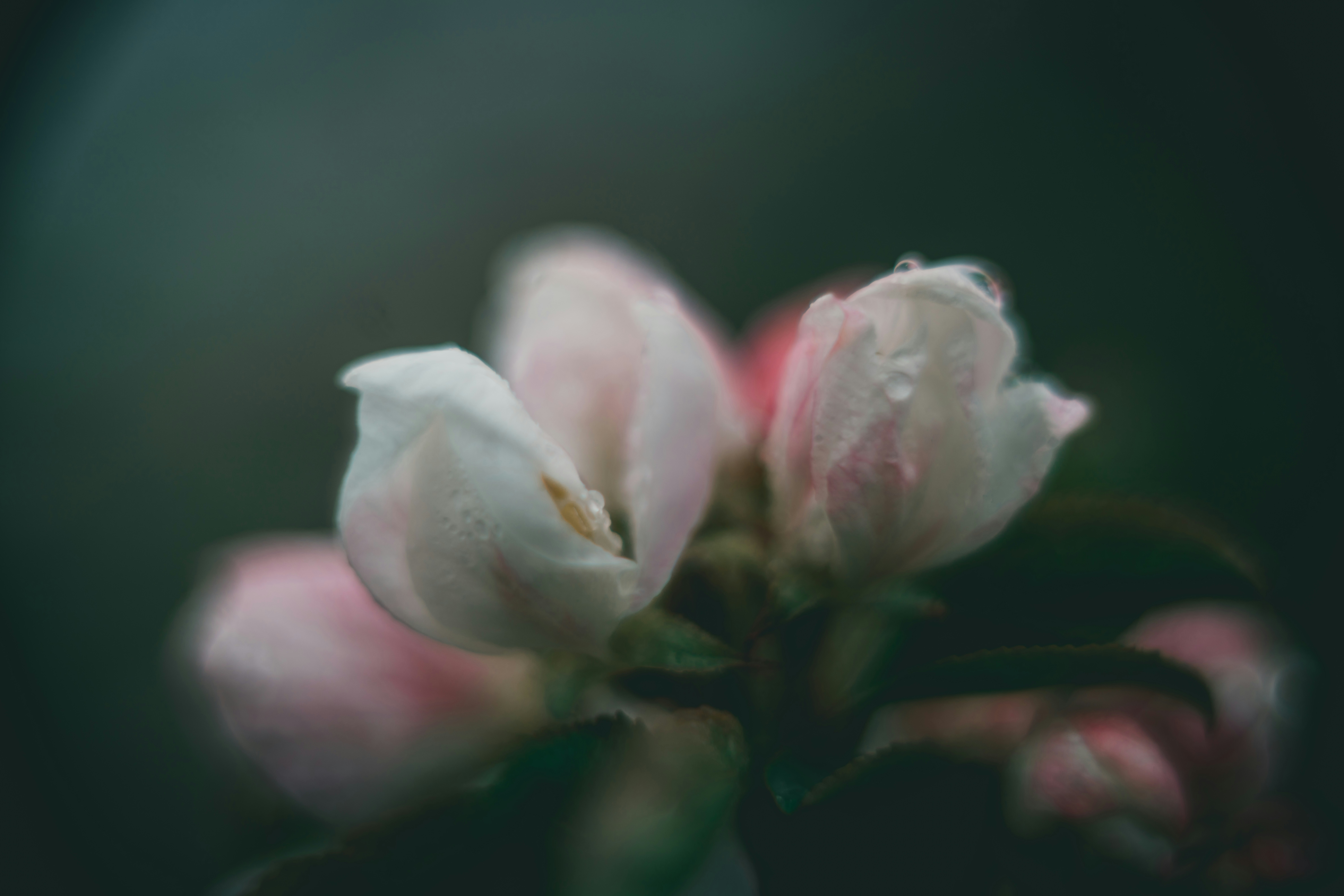 Photo by raimondklavins