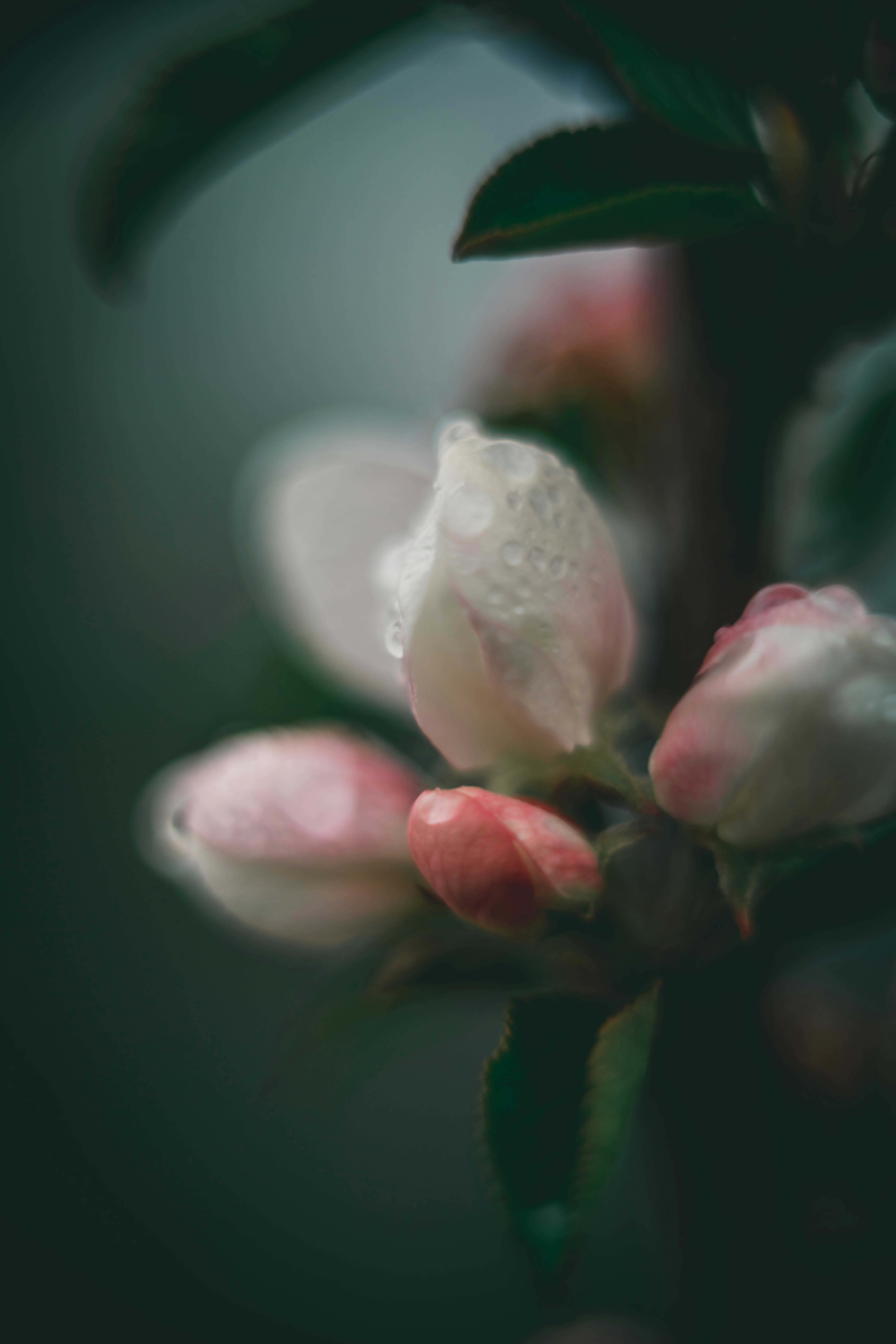 Photo by raimondklavins