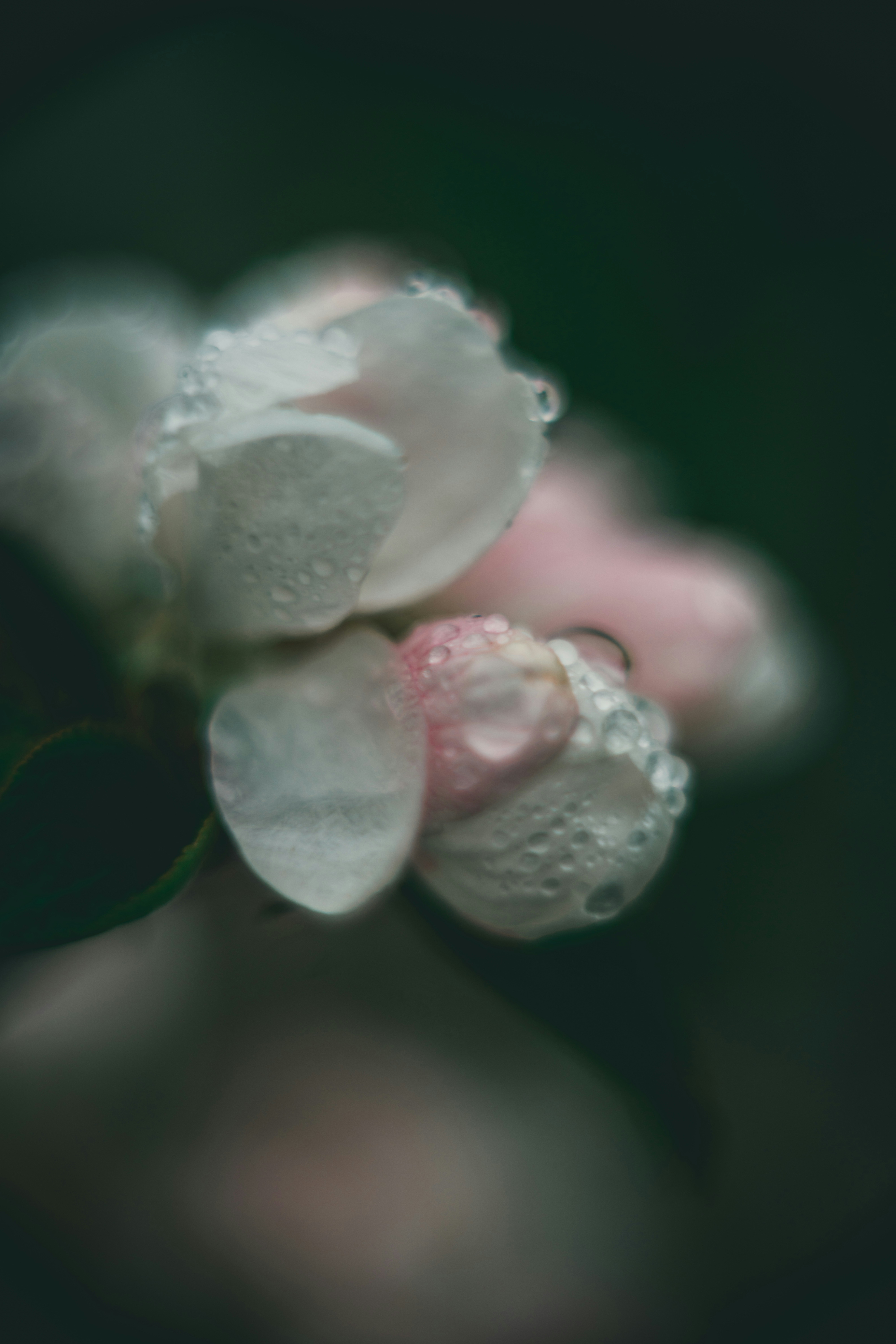 Photo by raimondklavins