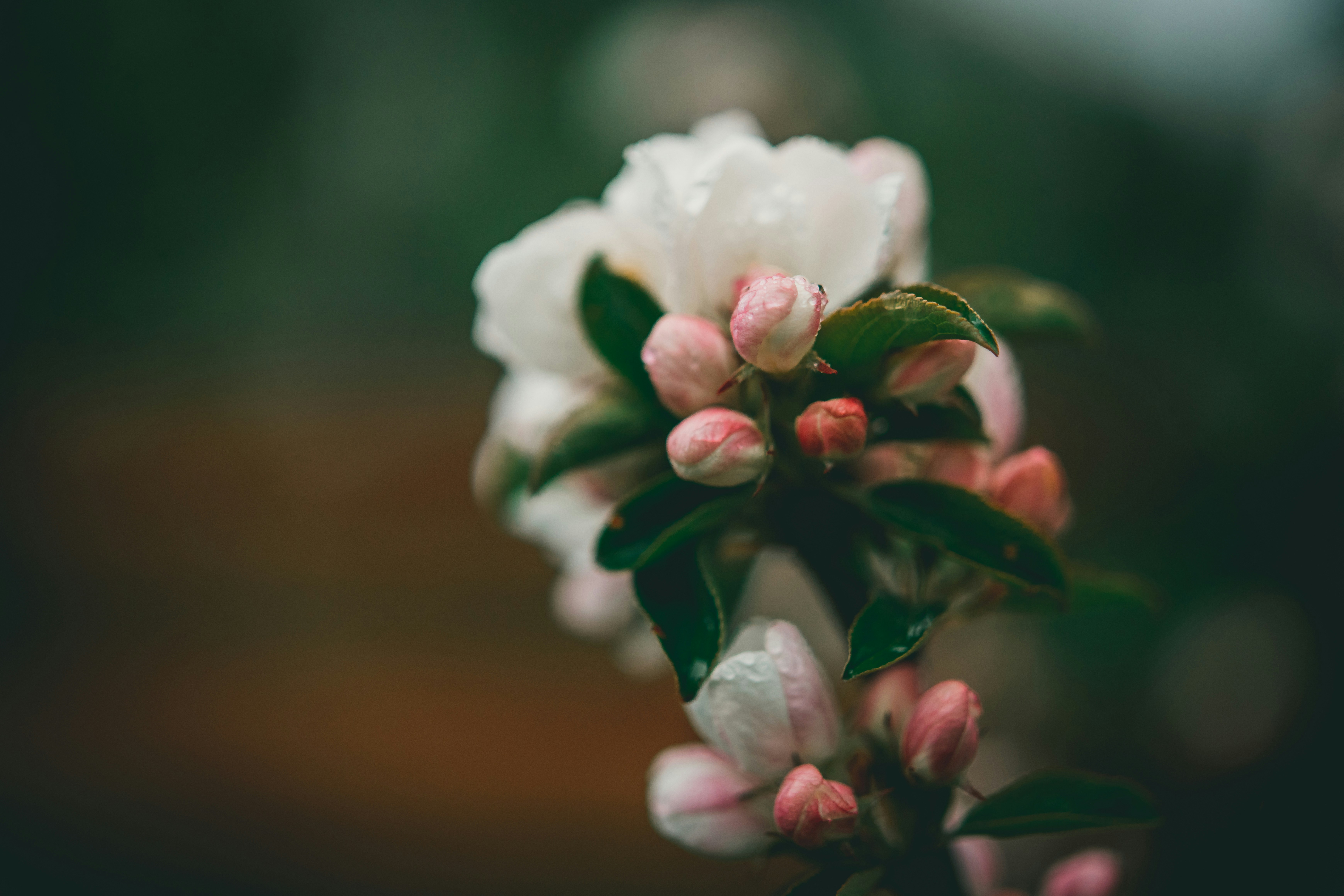 Photo by raimondklavins