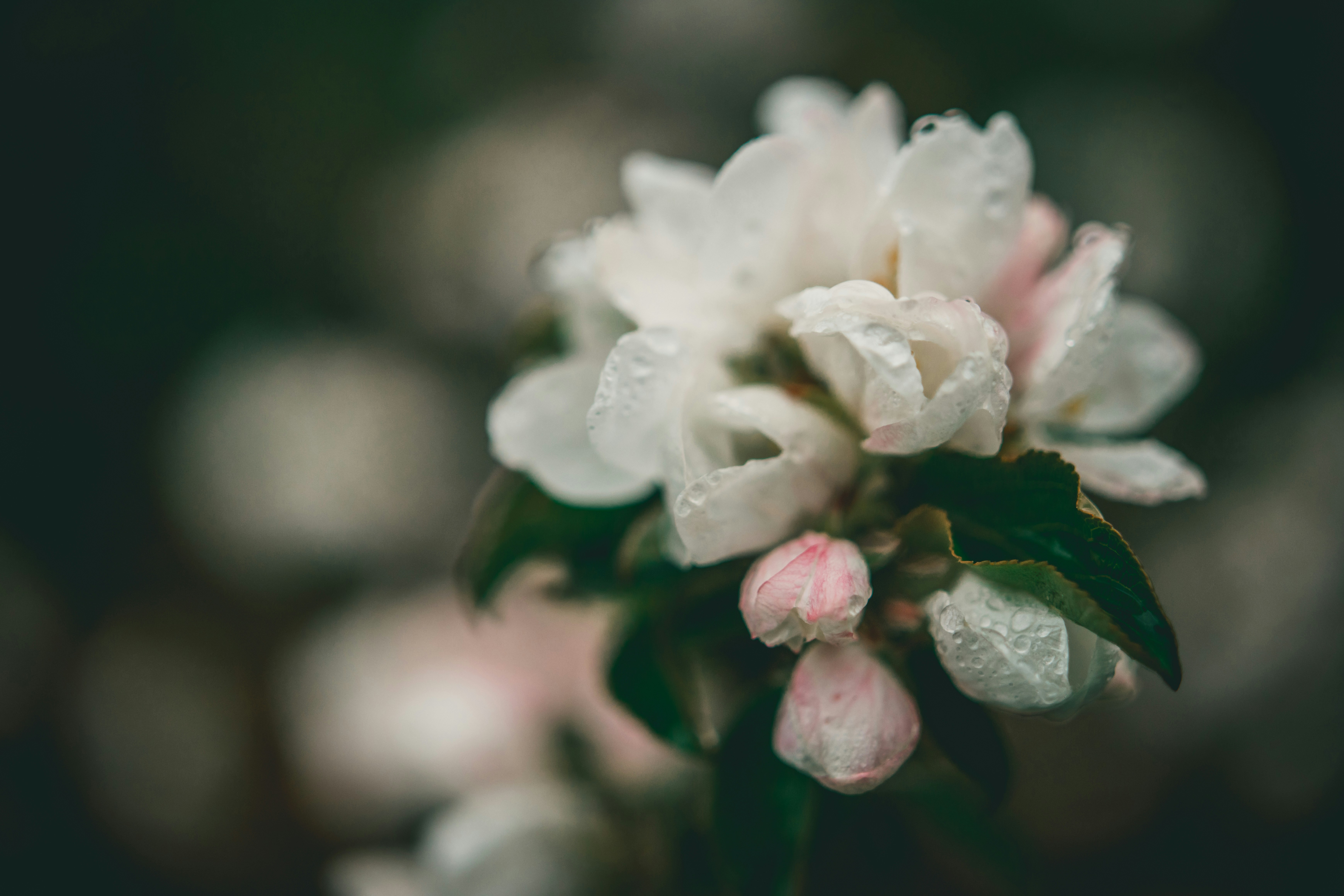 Photo by raimondklavins