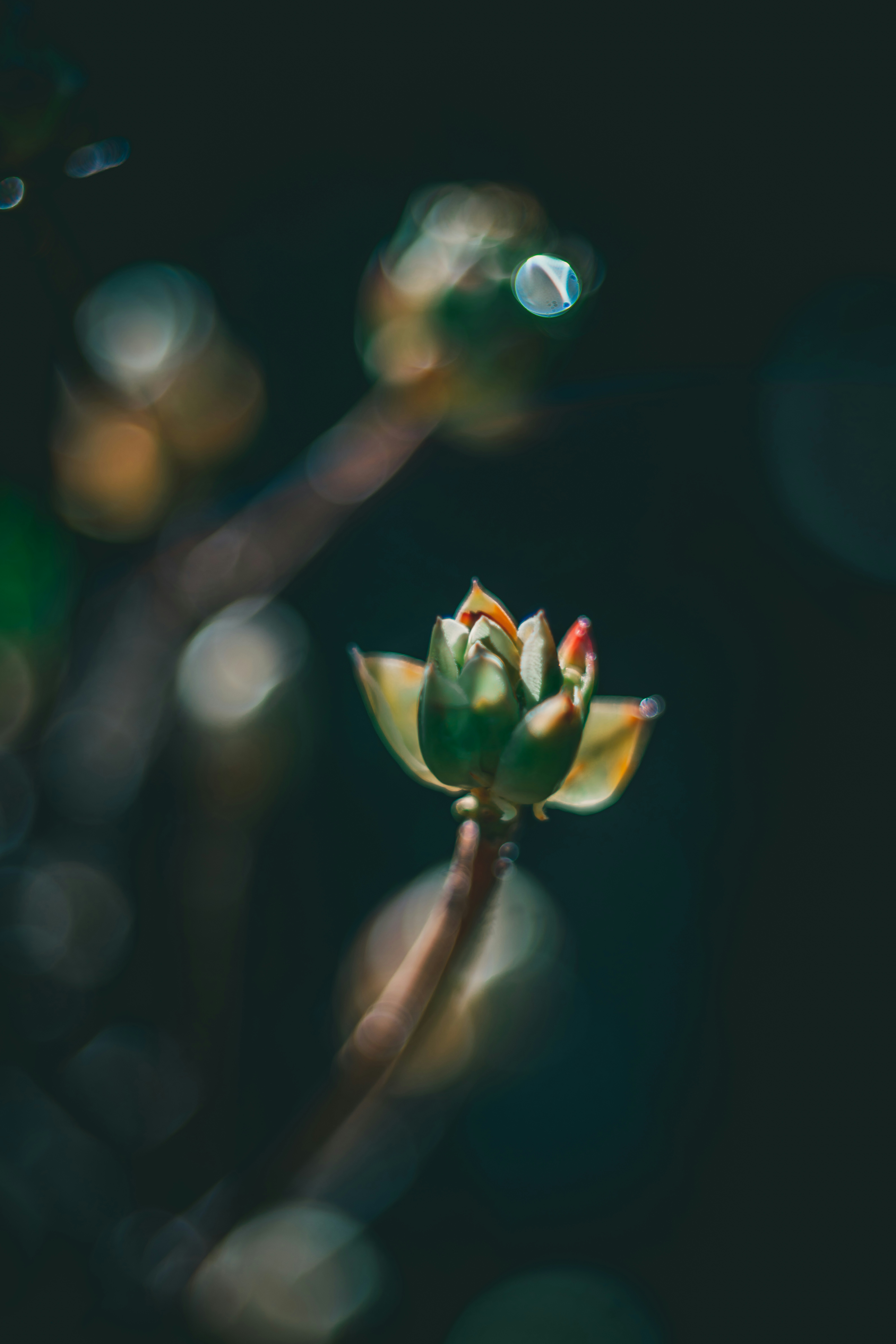 Photo by raimondklavins