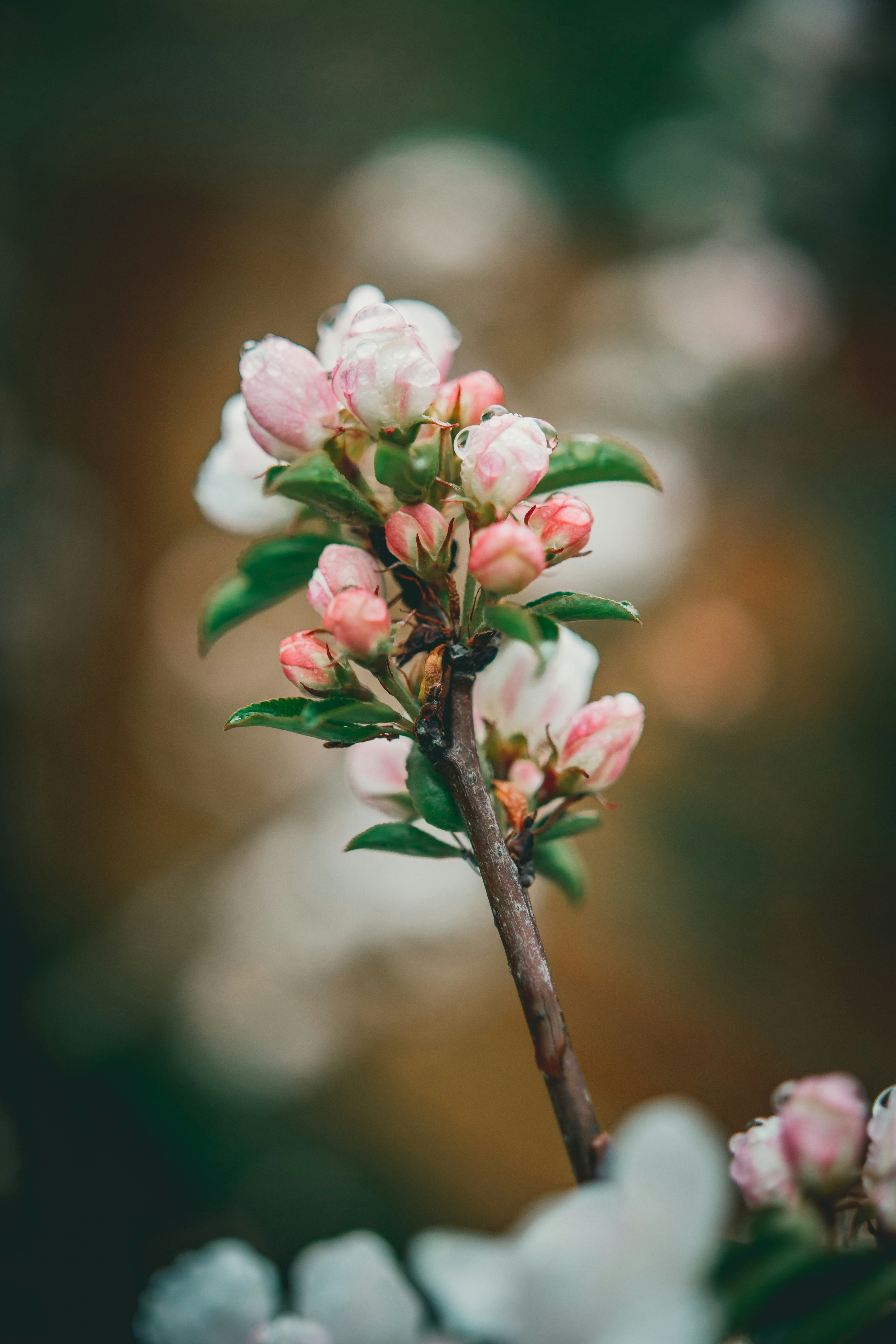Photo by raimondklavins