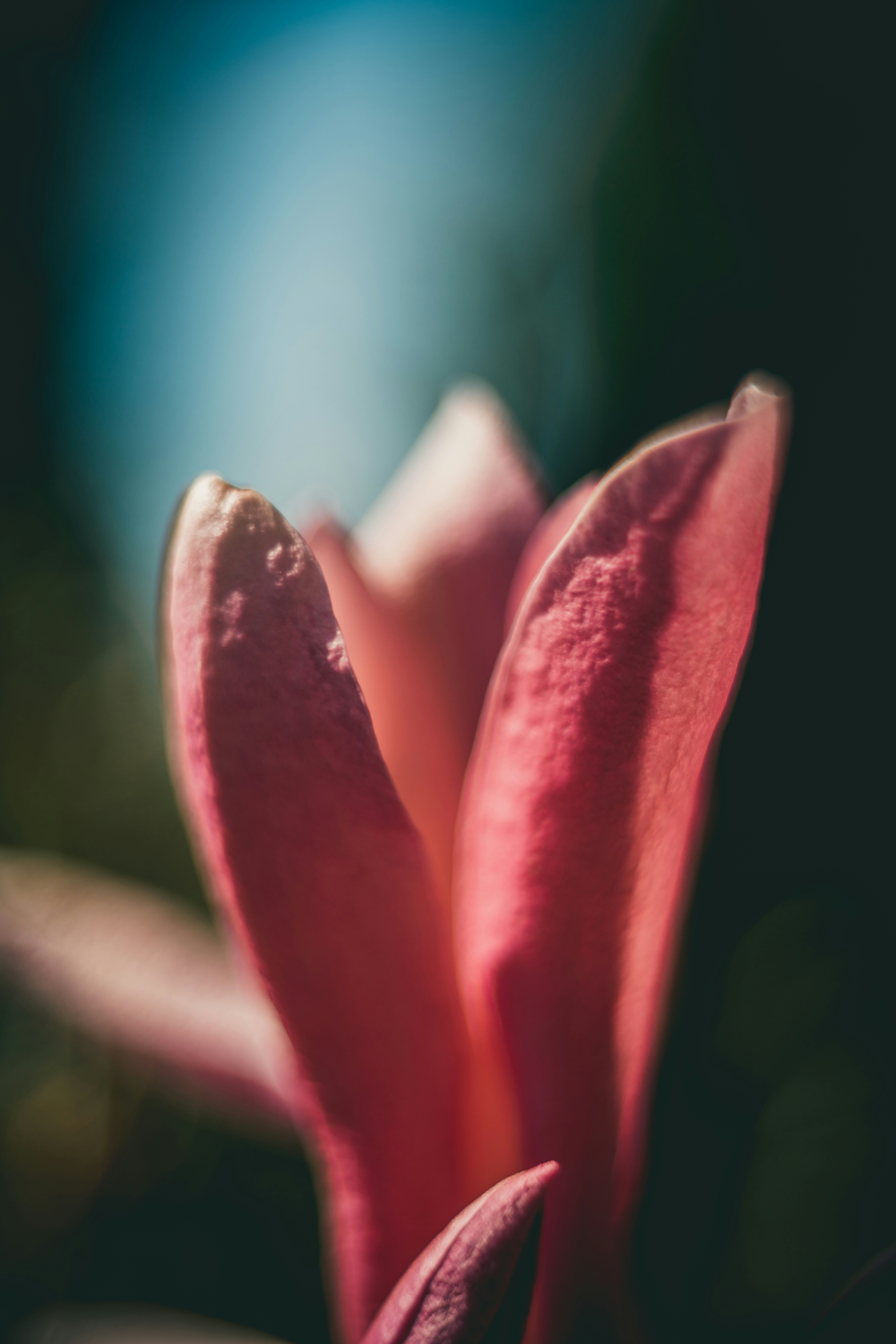 Photo by raimondklavins