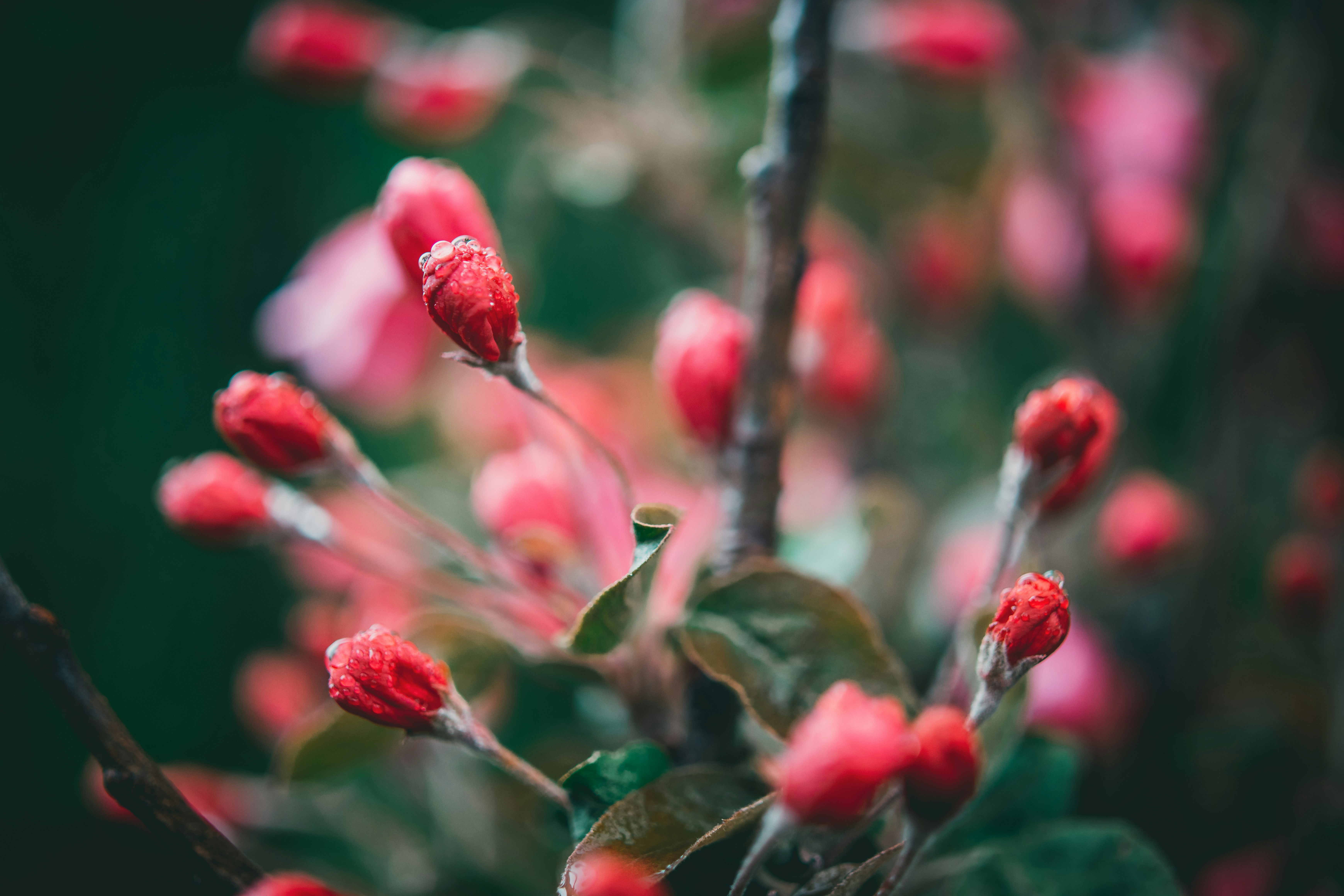 Photo by raimondklavins