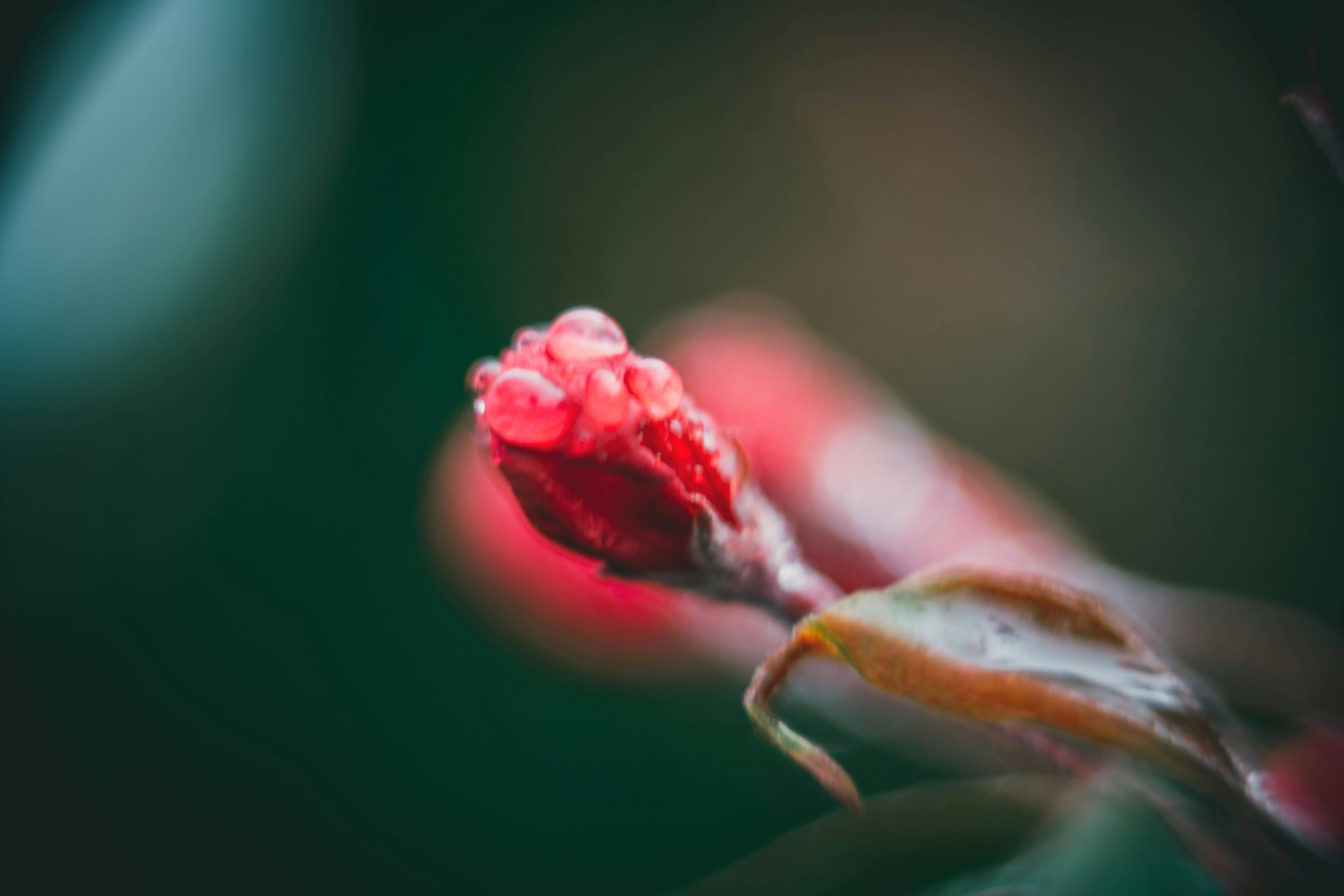 Photo by raimondklavins