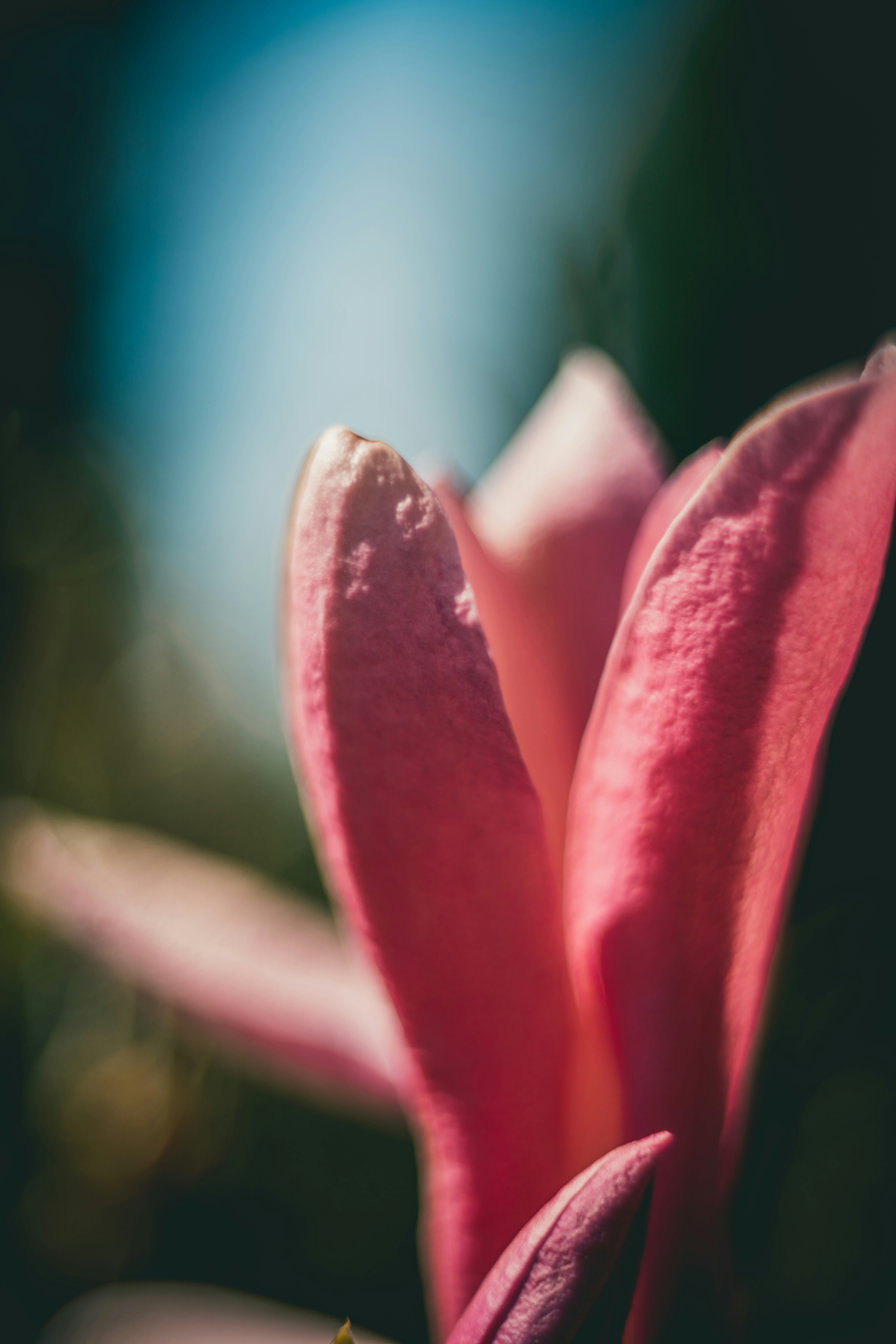 Photo by raimondklavins