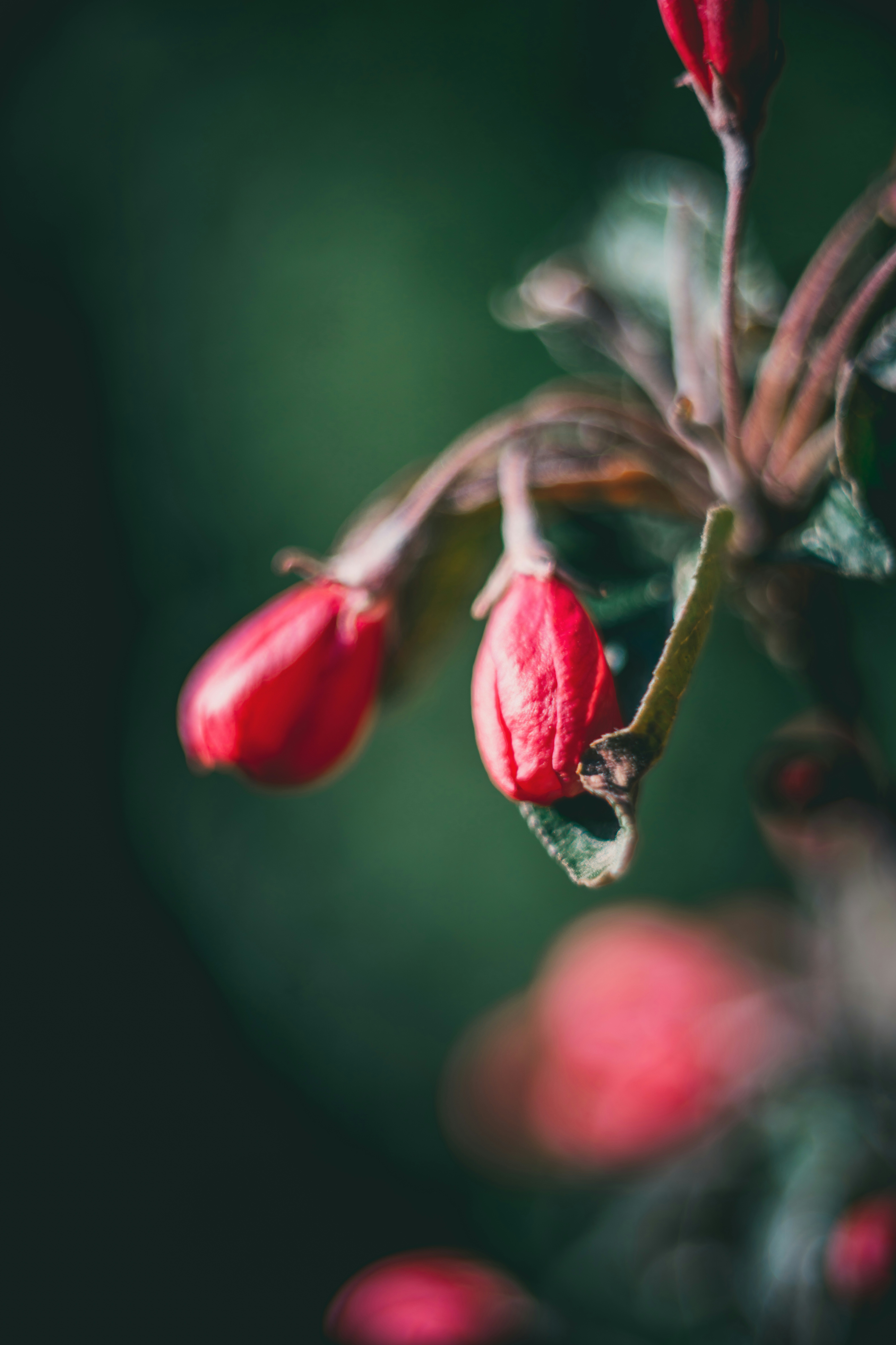 Photo by raimondklavins