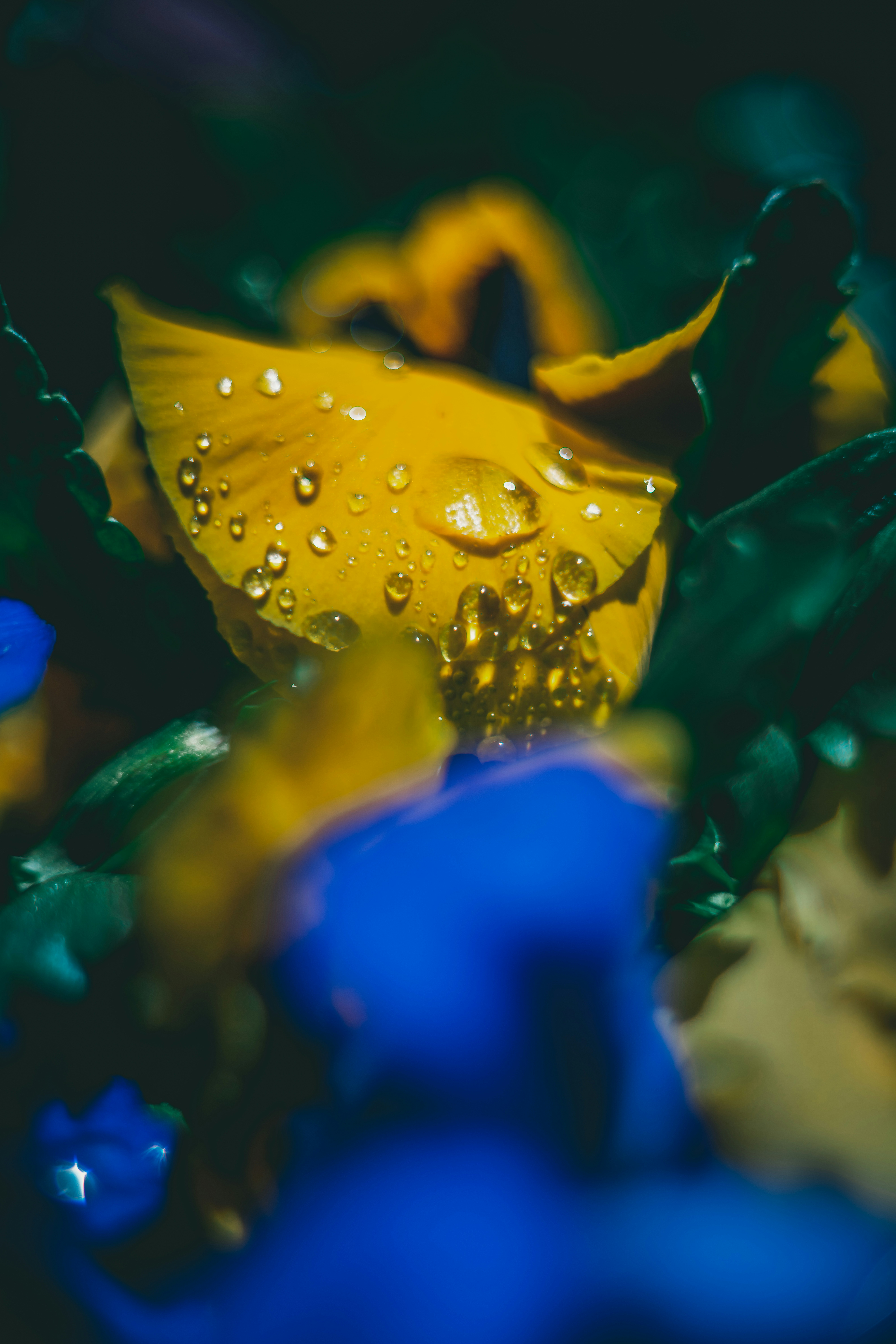 Photo by raimondklavins