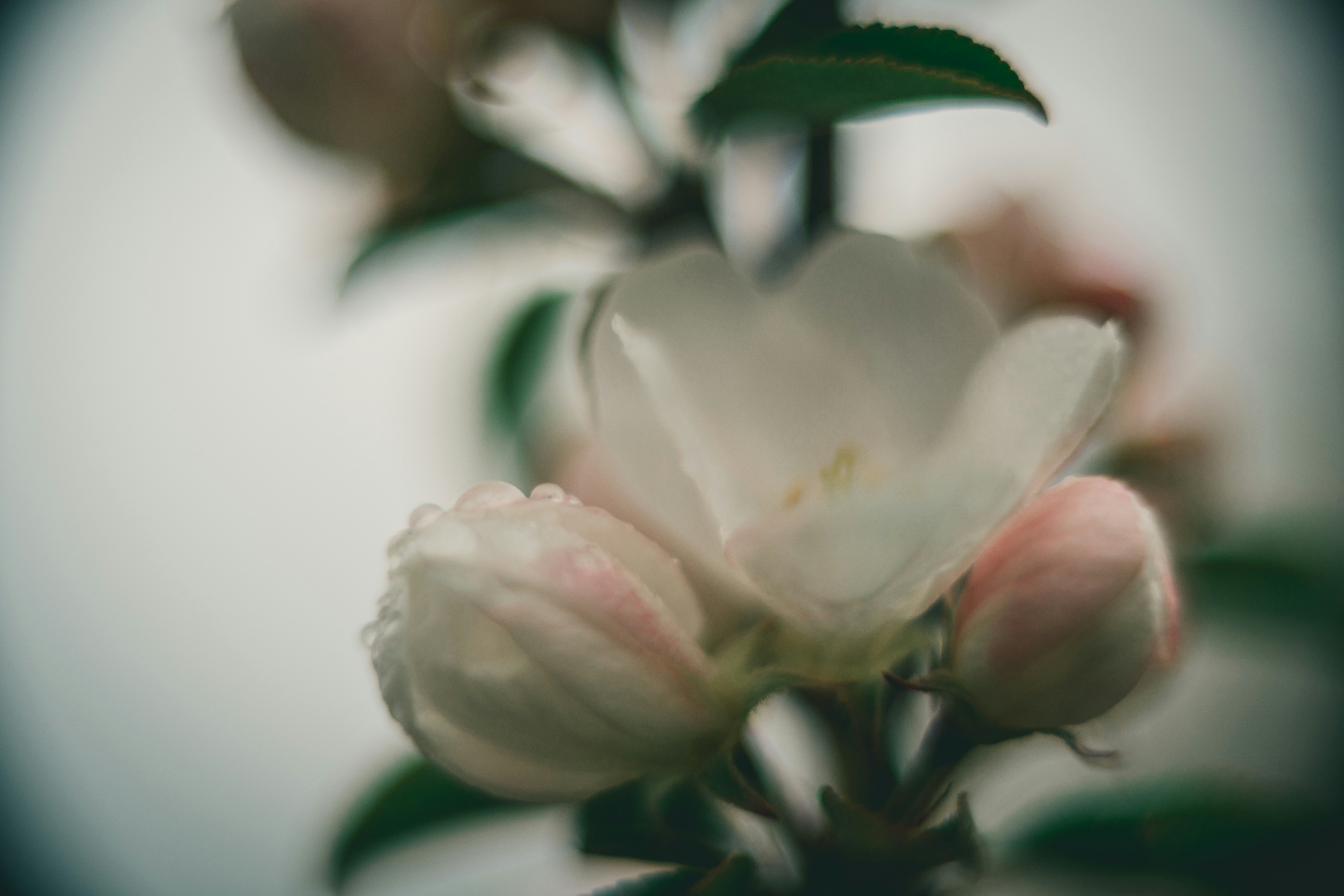 Photo by raimondklavins