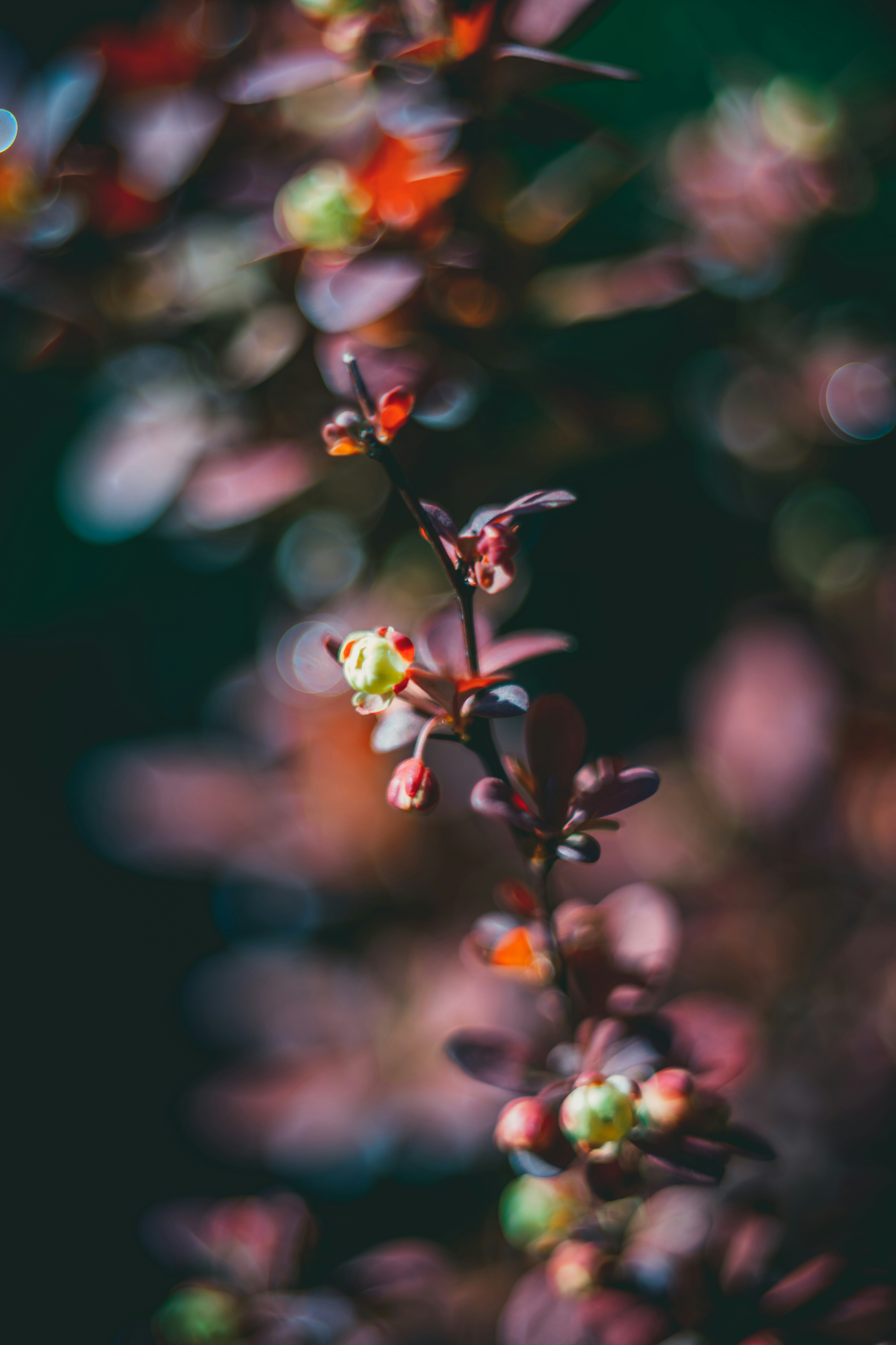 Photo by raimondklavins