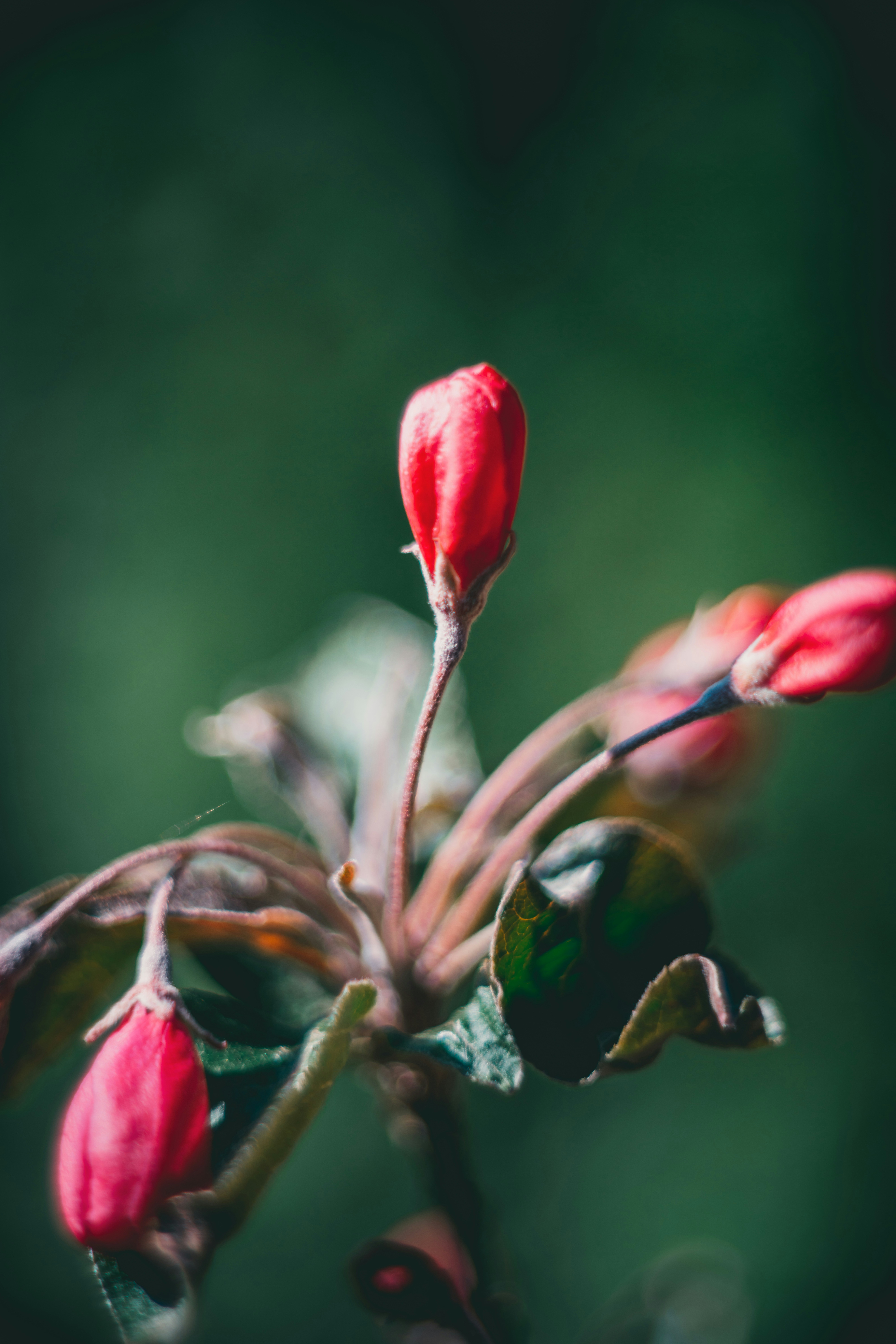 Photo by raimondklavins